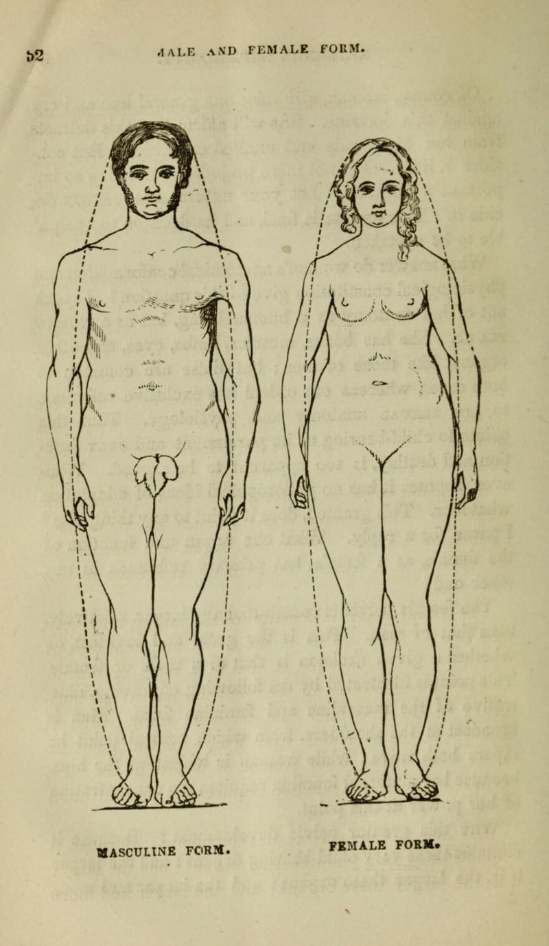 t)2 A ALE AND FEMALE FORM. MASCULINE FORM. FEMALE FORM*