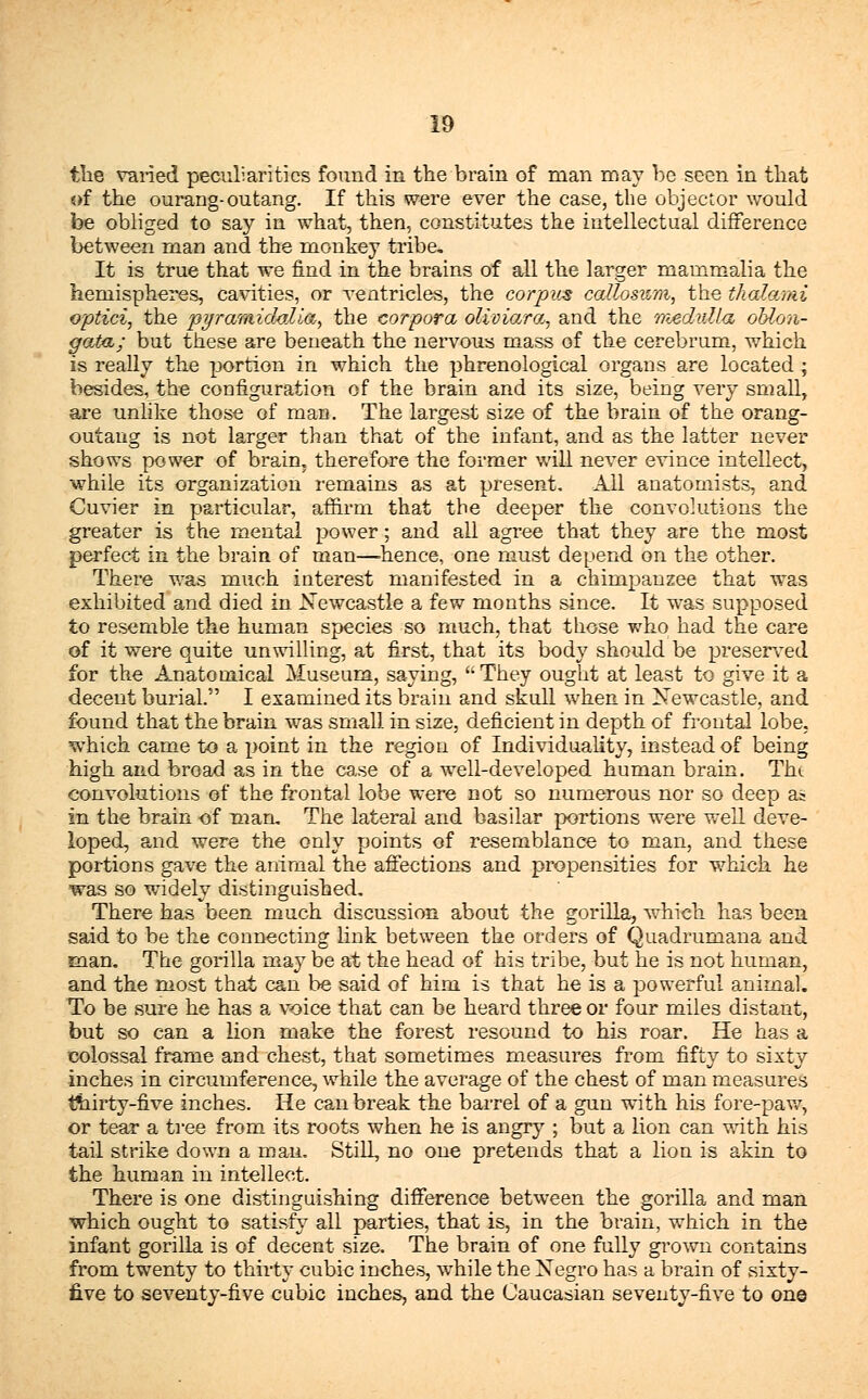 the varied peculiarities found in trie brain of man may be seen in that of the ourang-outang. If this were ever the case, the objector would be obliged to say in what, then, constitutes the intellectual difference between man and the monkey tribe. It is true that we find in the brains of all the larger mammalia the hemispheres, cavities, or ventricles, the corpus callosv/m, the thalami optici, the pyramidal La, the corpora olivio/ra, and the medulla oblon- gata; but these are beneath the nervous mass of the cerebrum, which is really the portion in which the phrenological organs are located; besides, the configuration of the brain and its size, being very small, are unlike those of man. The largest size of the brain of the orang- outang is not larger than that of the infant, and as the latter never shows power of brain, therefore the former will never evince intellect, while its organization remains as at present. All anatomists, and Cuvier in particular, affirm that the deeper the convolutions the greater is the mental power; and all agree that they are the most perfect in the brain of man—-hence, one must depend on the other. There was much interest manifested in a chimpanzee that was exhibited and died in Newcastle a few months since. It was supposed to resemble the human species so much, that those who had the care of it were quite unwilling, at first, that its body should be preserved for the Anatomical Museum, saying, They ought at least to give it a decent burial. I examined its brain and skull when in Newcastle, and found that the brain was small in size, deficient in depth of frontal lobe, which came to a point in the region of Individuality, instead of being high and broad as in the case of a well-developed human brain. Tin convolutions of the frontal lobe were not so numerous nor so deep as in the brain of man. The lateral and basilar portions were well deve- loped, and were the only points of resemblance to man, and these portions gave the animal the affections and propensities for which he was so widely distinguished. There has been much discussion about the gorilla, which has been said to be the connecting link between the orders of Quadrumana and man. The gorilla may be at the head of his tribe, but he is not human, and the most that can be said of him is that he is a powerful animal. To be sure he has a voice that can be heard three or four miles distant, but so can a lion make the forest resound to his roar. He has a colossal frame and chest, that sometimes measures from fifty to sixty- inches in circumference, while the average of the chest of man measures thirty-five inches. He can break the barrel of a gun with his fore-paw, or tear a tree from its roots when he is angry ; but a lion can with his tail strike down a man. Still, no one pretends that a lion is akin to the human in intellect. There is one distinguishing difference between the gorilla and man which ought to satisfy all parties, that is, in the brain, which in the infant gorilla is of decent size. The brain of one fully grown contains from twenty to thirty cubic inches, while the Negro has a brain of sixty- five to seventy-five cubic inches, and the Caucasian seventy-five to one