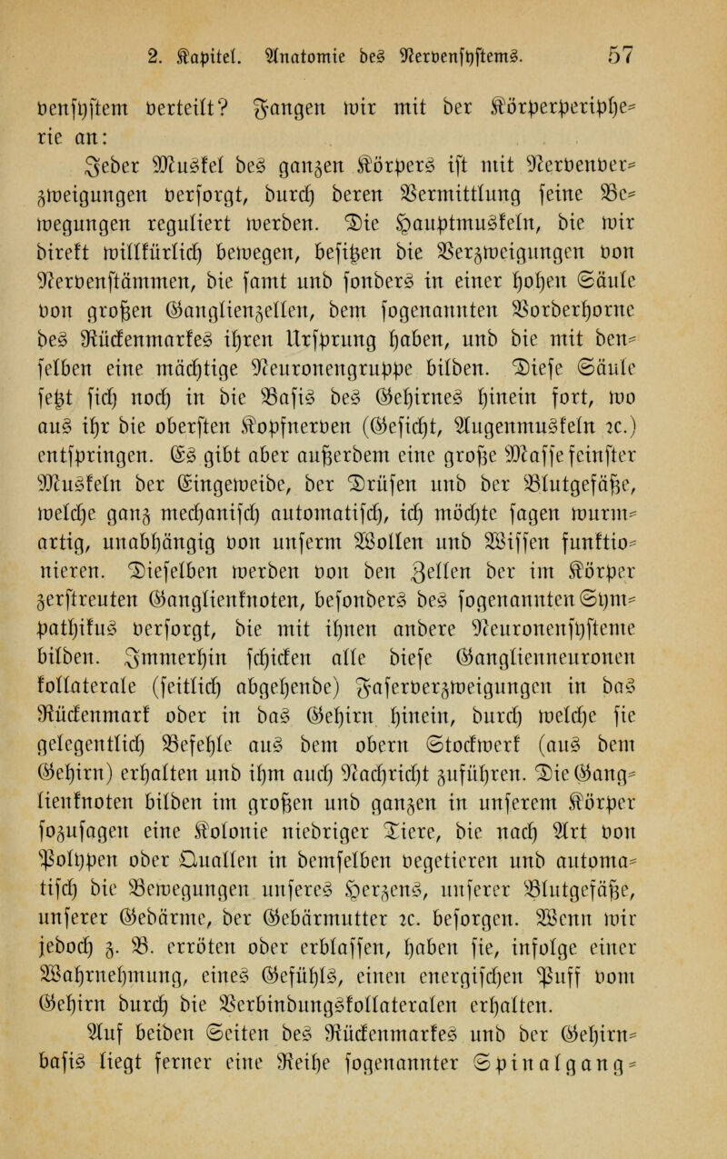 benft)ftem t)erteilt? gangen mir mit ber StöTptxpmföt* rie an: Seber 9ftu3fet be£ ganzen Äörperä tft mit 9Jerbenber> Neigungen berforgt, burd) bereu Vermittlung feine 9Sc^ Regungen reguliert werben. ®ie <gauptmu£feln, bie mir bireft mitlfürtid) belegen, befi^en bie 33erjmeigimgen bon 9?erbenftämmen, bie famt unb fonber£ in einer I)of)en Säule Don großen (Ganglienzellen, bem fogenamtten Sorbertjorne be3 9tüdenmarfe3 ifyren Urfprung fjaben, unb bie mit ben^ felben eine mächtige 9Jeuronengru^e büben. ®iefe ©äule fe|t ftd) nod) in bie 93afi3 be3 6tet)irne3 f)inein fort, mo au3 ifjr bie oberften ^opfnerben (©efidjt, 2tugenmu3feln :c.) entfpringen. ®3 gibt aber aufcerbem eine grofje 9DZaffe feinfter ■äJiuSfetn ber ©ingemeibe, ber Prüfen unb ber SB.Iutgefäfce, meldje gang medjanifd) automatifd), id) möd)te fagen murm^ artig, unabhängig bon unferm SSollen unb SBiffen funftio^ nieren. SMefelben merben bon ben Selten ber im Körper jerftreuten ßknglienfnoten, befonber§ be§ fogenamtten @i)m* patf)ifu3 berforgt, bie mit il)nen anbere 5Jfeuronenft)fteme büben. 3mmert)in fdjiden alle biefe ©anglienneuronen foltaterale (feittid) abgetjenbe) gaferberjmeigungen in bci% JRüdenmarf ober in ba3 ©e^irn hinein, burd) meldje fie gelegenttid) SSefeijle au3 bem obern ©toefmerf (au3 bem ®et)irn) erhalten unb if)m aud) Sßadjridjt anführen. 2)ie®ang= lienlnoten bilben im großen unb ganjen in unferem förper fogufageu eine Kolonie niebriger Jiere, bie nad) 2lrt bon s$olt)pen ober Quallen in bemfelben begetieren unb automa^ tifd) bie 93emegungen unfereg Sper^en^, unferer ^Uttgefä^e, unferer ©ebärme, ber (Gebärmutter 2C. beforgen. %&mn mir jebod) g. 33. erröten ober erblaffen, fyaWn fie, infolge einer 28at)rnet)mung, eine* (Gefül)l3, einen energifdjen ^ßviff bom ®el)irn burd) bie SSerbinbung^foIIateraten ermatten. 9tuf beiben ©eiten be§ 9tüdenmarfe§ unb ber (M)irn^ bafi3 liegt ferner eine 9?eif)e fogenannter ©pinalgang*