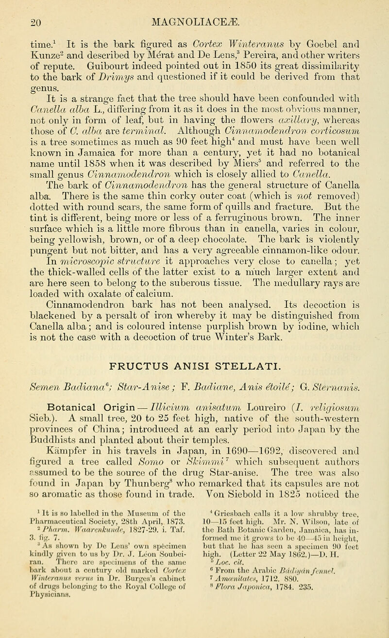 time.1 It is the bark figured as Cortex Winteranus by Goebel and Kunze2 and described by Merat and De Lens,3 Pereira, and other writers of repute. Guibourt indeed pointed out in 1850 its great dissimilarity to the bark of Drimys and questioned if it could be derived from tha.t genus. It is a strange fact that the tree should have been confounded with Canella alba L., differing from it as it does in the most obvious manner, not only in form of leaf, but in having the flowers axillary, whereas those of C. alba are terminal. Although Cinnamodendron corticosum is a tree sometimes as much as 90 feet high4 and must have been well known in Jamaica for more than a century, yet it had no botanical name until 1858 when it was described by Miers5 and referred to the small genus Cinnamodendron which is closely allied to Canella. The bark of Cinnamodendron has the general structure of Canella alba. There is the same thin corky outer coat (which is not removed) dotted with round scars, the same form of quills and fracture. But the tint is different, being more or less of a ferruginous brown. The inner surface which is a little more fibrous than in canella, varies in colour, being yellowish, brown, or of a deep chocolate. The bark is violently pungent but not bitter, and has a very agreeable cinnamon-like odour. In microscopic structure it approaches very close to canella; yet the thick-walled cells of the latter exist to a much larger extent and are here seen to belong to the suberous tissue. The medullary ra}Ts are loaded with oxalate of calcium. Cinnamodendron bark has not been analysed. Its decoction is blackened by a persalt of iron whereby it may be distinguished from Canella alba; and is coloured intense purplish brown by iodine, which is not the case with a decoction of true Winter's Bark. FRUCTUS ANISI STELLATI. Semen Badiana6; Star-Anise ; F. Badiane, Anis etoile; G. Stemanis. Botanical Origin — Illicium anisatum Loureiro (/. religiosum Sieb.). A small tree, 20 to 25 feet high, native of the south-western provinces of China; introduced at an early period into Japan by the Buddhists and planted about their temples. Kampfer in his travels in Japan, in 1690—1G92, discovered and figured a tree called Somo or Sklmmi7 which subsequent authors assumed to be the source of the drug Star-anise. The tree was also found in Ja.pan by Thunberg8 who remarked that its capsules are not so aromatic as those found in trade. Von Siebold in 1825 noticed the 1 It is so labelled in the Museum of the '' Griesbach calls it a low shrubby tree, Pharmaceutical .Society, 28th April, 1873. 10—15 feet high. Mr. N. Wilson, late of '■' I'li/trm. Waarenhunde, 1827-29. i. Taf. the Bath Botanic Garden, Jamaica, has in- 3. fig. 7. formed me it grows to be 40—4;) in height, As shown by De Lens' own specimen but that he has seen a specimen DO feet kindly given to us by Dr. J. Leon Soubei- high. (Letter 22 May 1802.)—D. H. ran. There arc specimens of the same hoc. cit. bark about a century old marked Cortex fi From the Arabic Bddlydn fennel. Winteranus verus in Dr. Burgee's cabinet J Amcenitates, 1712. 880. of drugs belonging to the Royal College of H Flora Japonica, 1784. 235. Physicians.