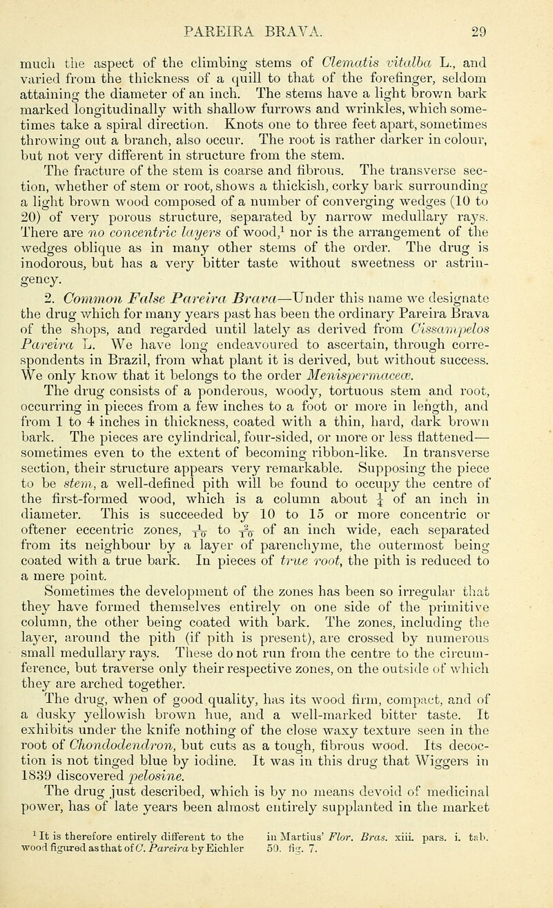 much the aspect of the climbing stems of Clematis vitalba L., and varied from the thickness of a quill to that of the forefinger, seldom attaining the diameter of an inch. The stems have a light brown bark marked longitudinally with shallow furrows and wrinkles, which some- times take a spiral direction. Knots one to three feet apart, sometimes throwing out a branch, also occur. The root is rather darker in colour, but not very different in structure from the stem. The fracture of the stem is coarse and fibrous. The transverse sec- tion, whether of stem or root, shows a thickish, corky bark surrounding a light brown wood composed of a number of converging wedges (10 to 20) of very porous structure, separated by narrow medullary rays. There are no concentric layers of wood,1 nor is the arrangement of the wedges oblique as in many other stems of the order. The drug is inodorous, but has a very bitter taste without sweetness or astrin- gency. 2. Common False Pareira Brava—Under this name we designate the drug which for many years past has been the ordinary Pareira Brava of the shops, and regarded until lately as derived from Oissampelos Pareira L. We have long endeavoured to ascertain, through corre- spondents in Brazil, from what plant it is derived, but without success. We only know that it belongs to the order Menispermaceos. The drug consists of a ponderous, woody, tortuous stem and root, occurring in pieces from a few inches to a foot or more in length, and from 1 to 4 inches in thickness, coated with a thin, hard, dark brown bark. The pieces are cylindrical, four-sided, or more or less flattened— sometimes even to the extent of becoming ribbon-like. In transverse section, their structure appears very remarkable. Supposing the piece to be stem, a well-defined pith will be found to occupy the centre of the first-formed wood, which is a column about ^ of an inch in diameter. This is succeeded by 10 to 15 or more concentric or oftener eccentric zones, ^o to y2^ of an inch wide, each separated from its neighbour by a layer of parenchyme, the outermost being coated with a true bark. In pieces of true root, the pith is reduced to a mere point. Sometimes the development of the zones has been so irregular that they have formed themselves entirely on one side of the primitive column, the other being coated with bark. The zones, includino; the layer, around the pith (if pith is present), are crossed by numerous small medullary rays. These do not run from the centre to the circum- ference, but traverse only their respective zones, on the outside of which they are arched together. The drug, when of good quality, has its wood firm, compact, and of a dusky yellowish brown hue, and a well-marked bitter taste. It exhibits under the knife nothing of the close waxy texture seen in the root of Chondodendron, but cuts as a tough, fibrous wood. Its decoc- tion is not tinged blue by iodine. It was in this drug that Wiggers in 1839 discovered pelosine. The drug just described, which is by no means devoid of medicinal power, has of late years been almost entirely supplanted in the market 1 It is therefore entirely different to the in Martius' Flor. Bras. xiii. pars. i. tab. wood figured as that of C. Pareira kyEichlev 59. fig. 7.