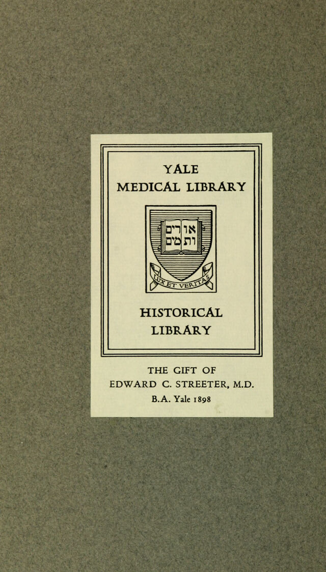 digitised image 2