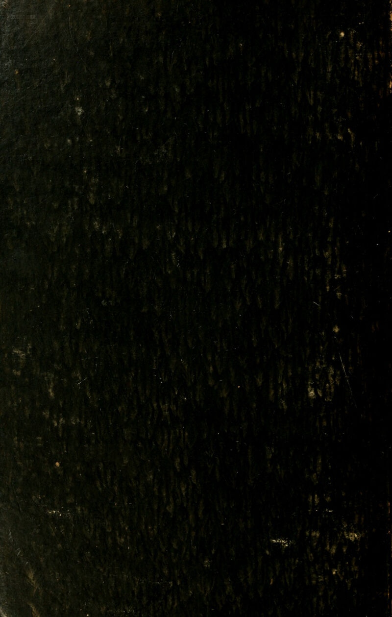 1^3 '-■,>j ■'<' §^^^^''i '4m '' ^vV'jf,^ * ■ »'