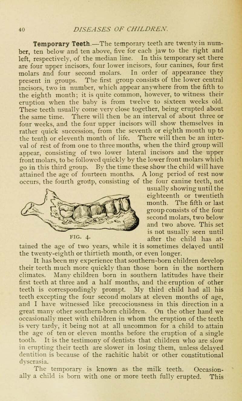 Temporary Teeth.—The temporary teeth are twenty in num- ber, ten below and ten above, five for each jaw to the right and left, respectively, of the median line. In this temporary set there are four upper incisors, four lower incisors, four canines, four first molars and four second molars. In order of appearance they present in groups. The first group consists of the lower central incisors, two in number, which appear anywhere from the fifth to the eighth month; it is quite common, however, to witness their eruption when the baby is from twelve to sixteen weeks old. These teeth usually come very close together, being erupted about the same time. There will then be an interval of about three or four weeks, and the four upper incisors will show themselves in rather quick succession, from the seventh or eighth month up to the tenth or eleventh month of life. There will then be an inter- val of rest of from one to three mouths, when the third group will appear, consisting of two lower lateral incisors and the upper front molars, to be followed quickly by the lower front molars which go in this third group. By the time these show the child will have attained the age of fourteen months. A long period of rest now occurs, the fourth group, consisting of the four canine teeth, not usually showing until the eighteenth or twentieth month. The fifth or last group consists of the four second molars, two below and two above. This set is not usually seen until after the child has at- tained the age of two years, while it is sometimes delayed until the twenty-eighth or thirtieth month, or even longer. It has been my experience that southern-born children develop their teeth much more quickly than those born in the northern climates. Many children born in southern latitudes have their first teeth at three and a half months, and the eruption of other teeth is correspondingly prompt. My third child had all his teeth excepting the four second molars at eleven months of age, and I have witnessed like precociousness in this direction in a great many other southern-born children. On the other hand we occasionally meet with children in whom the eruption of the teeth is very tardy, it being not at all uncommon for a child to attain the age of ten or eleven months before the eruption of a single tooth. It is the testimony of dentists that children who are slow in erupting their teeth are slower in losing them, unless delayed dentition is because of the rachitic habit or other constitutional dyscrasia. The temporary is known as the milk teeth. Occasion- ally a child is born with one or more teeth fully erupted. This