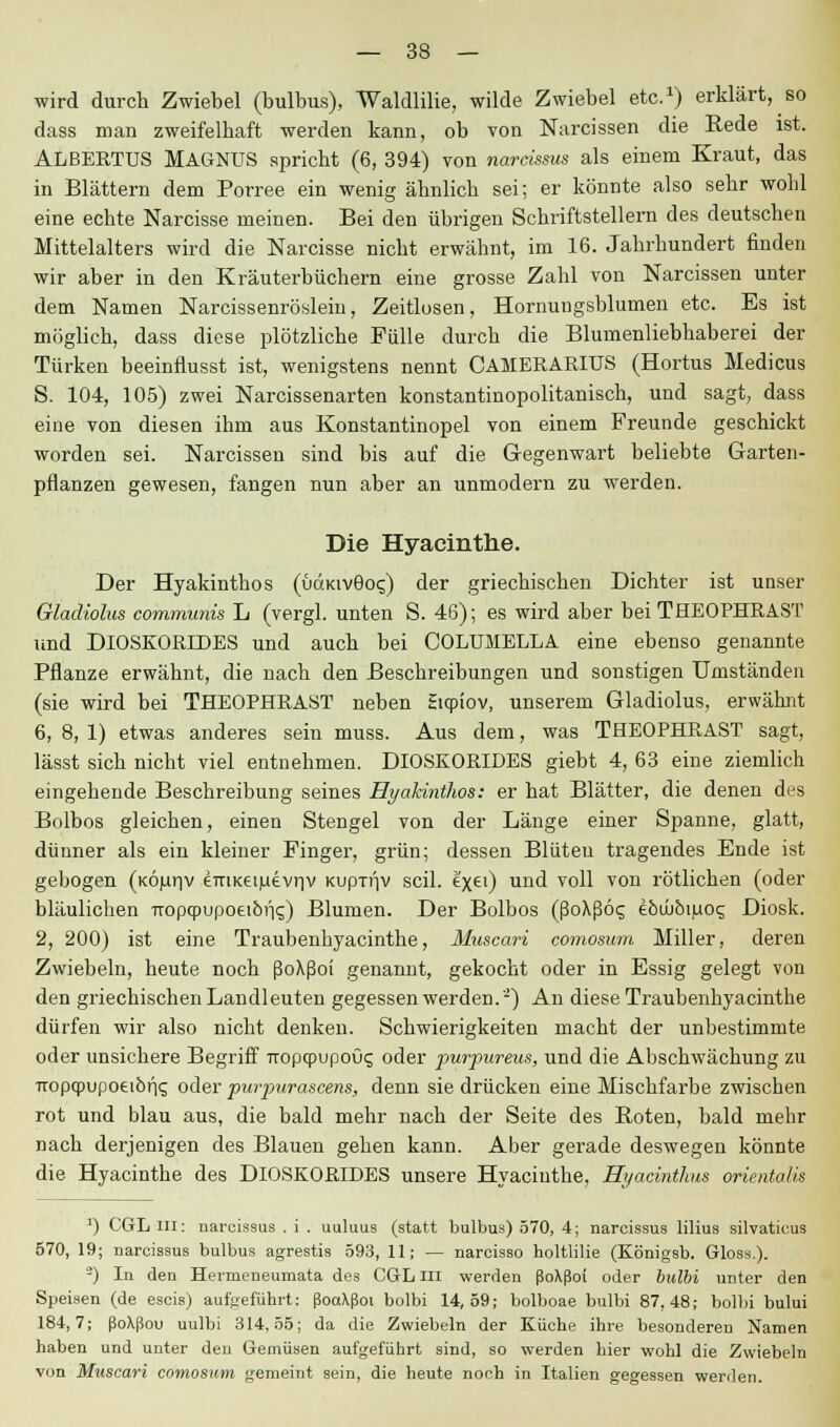 wird durch Zwiebel (bulbus), Waldlilie, wilde Zwiebel etc.1) erklärt, so dass man zweifelhaft werden kann, ob von Narcissen die Rede ist. ALBERTUS MAGNUS spricht (6, 394) von narcissus als einem Kraut, das in Blättern dem Porree ein wenig ähnlich sei; er könnte also sehr wohl eine echte Narcisse meinen. Bei den übrigen Schriftstellern des deutschen Mittelalters wird die Narcisse nicht erwähnt, im 16. Jahrhundert finden wir aber in den Kräuterbüchern eine grosse Zahl von Narcissen unter dem Namen Narcissenröslein, Zeitlosen, Hornungsblumen etc. Es ist möglich, dass diese plötzliche Fülle durch die Blumenliebhaberei der Türken beeimiusst ist, wenigstens nennt CAMERARIUS (Hortus Medicus 5. 104, 105) zwei Narcissenarten konstantinopolitanisch, und sagt, dass eine von diesen ihm aus Konstantinopel von einem Freunde geschickt worden sei. Narcissen sind bis auf die Gegenwart beliebte Garten- pflanzen gewesen, fangen nun aber an unmodern zu werden. Die Hyacinthe. Der Hyakinthos (üdiuvGoc;) der griechischen Dichter ist unser Gladiolus communis L (vergl. unten S. 46); es wird aber bei THEOPHRAST und DIOSKORIDES und auch bei COLUMELLA eine ebenso genannte Pflanze erwähnt, die nach den Beschreibungen und sonstigen Umständen (sie wird bei THEOPHRAST neben Sicpiov, unserem Gladiolus, erwähnt 6, 8, 1) etwas anderes sein muss. Aus dem, was THEOPHRAST sagt, lässt sich nicht viel entnehmen. DIOSKORIDES giebt 4, 63 eine ziemlich eingehende Beschreibung seines Hyakinthos: er hat Blätter, die denen des Bolbos gleichen, einen Stengel von der Länge einer Spanne, glatt, dünner als ein kleiner Finger, grün; dessen Blüten tragendes Ende ist gebogen (KÖunv eTTiKeinevnv KupTrjV seil, ex61) un(i V°H von rötlichen (oder bläulichen Tropqpupoei6r|c;) Blumen. Der Bolbos (ßoAßoc; eöujbmo? Diosk. 2, 200) ist eine Traubenhyacinthe, Muscari comosum Miller, deren Zwiebeln, heute noch ßoXßoi genannt, gekocht oder in Essig gelegt von den griechischen Landleuten gegessen werden.'2) An diese Traubenhyacinthe dürfen wir also nicht denken. Schwierigkeiten macht der unbestimmte oder unsichere Begriff Tropcpupoöc; oder purpareus, und die Abschwächung zu Tropqpupoeibr)5 oder purpurascens, denn sie drücken eine Mischfarbe zwischen rot und blau aus, die bald mehr nach der Seite des Roten, bald mehr nach derjenigen des Blauen gehen kann. Aber gerade deswegen könnte die Hyacinthe des DIOSKORIDES unsere Hyacinthe, Hyacinthus Orientalin ') CGL III: narcissus . i . uuluus (statt bulbus) 570, 4; narcissus lilius silvaticus 570, 19; narcissus bulbus agrestis 593, 11; — narcisso holtlilie (Königsb. Gloss.). -) In den Hermeneumata des CGL III werden ßo\ßoi oder bulbi unter den Speisen (de escis) aufgeführt: ßootXßoi bolbi 14,59; bolboae bulbi 87,48; bolbi bului 184,7; ßo\ßou uulbi 314,55; da die Zwiebeln der Küche ihre besonderen Namen haben und unter den Gemüsen aufgeführt sind, so werden hier wohl die Zwiebeln von Muscari comosum gemeint sein, die heute noch in Italien gegessen werden.