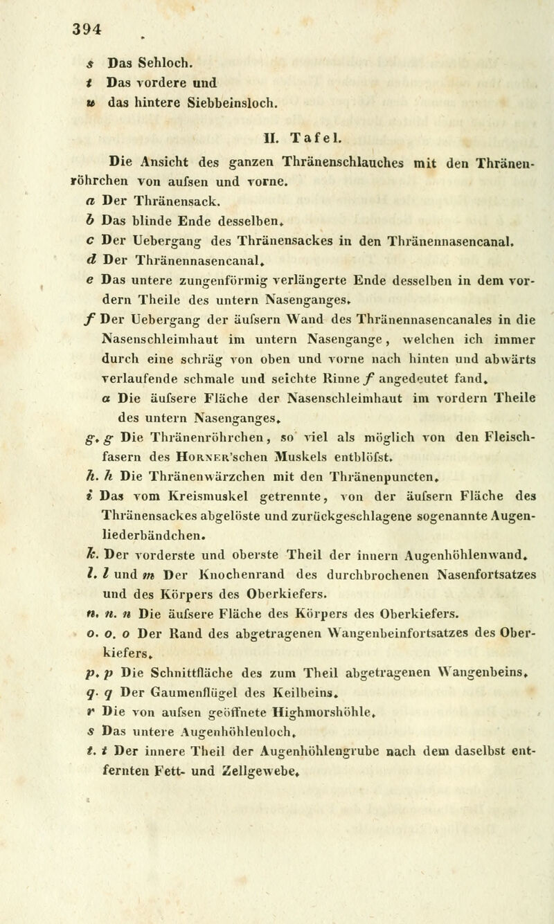 s Das Sehloch. t Das vordere und u das hintere Siebbeinsloch. II. Tafel. Die Ansicht des ganzen Thránenschlauches mit den Thránen- rohrchen von aufsen und rorne. a Der Thránensack. b Das blinde Ende desselben* c Der Uebergang des Thranensackes in den Thranennasencanal. d Der Thranennasencanal* e Das untere zungenfórmig verlangerte Ende desselben in dem vor- dern Theile des untern Nasenganges* f Der Uebergang der aufsern Wand des Thriinennasencanales in die Nasenschleimhaut im untern Nasengange, welchen ich immer durch eine schriig von oben und vorne nach hinten und abwarts verlaufende schmale und seichte Rinne f angedeutet fand. a Die iiufsere Fláche der Nasenschleimhaut im rordern Theile des untern Nasenganges* gt g Die Thranenrohrchen, so viel als moglich von den Fleisch- fasern des HoRXER'schen Muskels entblbfst, h. h Die Thranenwiirzchen mit den Thránenpuncten. i Das vom Kreismuskel getrennte, von der aufsern Fliiche des Thranensackes abgelóste und zuruckgeschlagene sogenannte Augen- liederbándchen. Je. Der vorderste und oberste Theil der ínnern Augenhohlenwand. Z. I und m Der Knochenrand des durchbrochenen Nasenfortsatzes und des Kórpers des Oberkiefers. n, n. n Die aufsere Fliiche des Kórpers des Oberkiefers. o. o. o Der Rand des abgetragenen Wangenbeinfortsatzes des Ober- kiefers* p. p Die Schnittfláche des zum Theil abgetragenen Wangenbeins, q- q Der Gaumenfliigel des Keilbeins. r Die von aufsen geoffnete Highmorshóhle, * Das untere Augenhóhlenloch, t. t Der innere Theil der Augenhóhlengrube nach dem daselbst ent- fernten Fett- und ZellgeAvebe*