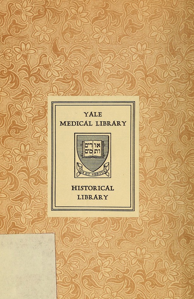 digitised image 2
