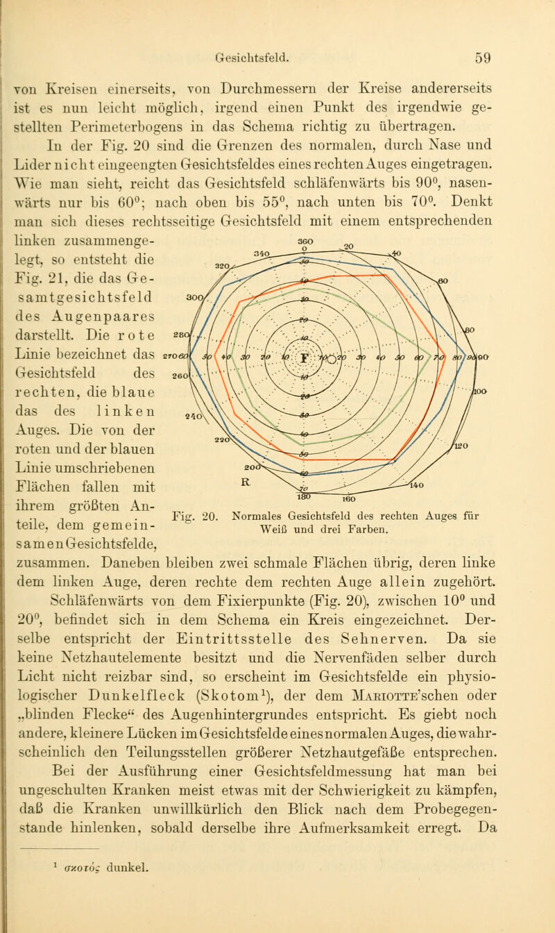 von Kreisen einerseits, von Durchmessern der Kreise andererseits ist es nun leicht möglich, irgend einen Punkt des irgendwie ge- stellten Perimeterbogens in das Schema richtig zu übertragen. In der Fig. 20 sind die Grenzen des normalen, durch Nase und Lider nicht eingeengten Gesichtsfeldes eines rechten Auges eingetragen. Wie man sieht, reicht das Gesichtsfeld schläfenwärts bis 90°, nasen- wärts nur bis 60*^; nach oben bis 55°, nach unten bis 70°. Denkt man sich dieses rechtsseitige Gesichtsfeld mit einem entsprechenden linken zusammenge- legt, so entsteht die Fig. 21, die das Ge- ^amtgesichtsfeld des Augenpaares darstellt. Die rote 2 Linie bezeichnet das sro iTesichtsfeld des 2, rechten, die blaue das des linken Auges. Die von der roten und der blauen Linie umschriebenen Flächen fallen mit ihrem größten An- teile, dem gemein- samen Gesichtsfelde, zusammen. Daneben bleiben zwei schmale Flächen übrig, deren linke dem linken Auge, deren rechte dem rechten Auge allein zugehört. Schläfenwärts von dem Fixierpunkte (Fig. 20), zwischen 10° und 20°, befindet sich in dem Schema ein Kreis eingezeichnet. Der- selbe entspricht der Eintrittsstelle des Sehnerven. Da sie keine Netzhautelemente besitzt und die Nervenfäden selber durch Licht nicht reizbar sind, so erscheint im Gesichtsfelde ein physio- logischer Dunkelfleck (Skotom^), der dem MAKiOTTE'schen oder „blinden Flecke des Augenhintergrundes entspricht. Es giebt noch andere, kleinere Lücken im Gesichtsfelde eines normalen Auges, die wahr- scheinlich den Teilungsstellen größerer Netzhautgefäße entsprechen. Bei der Ausführung einer Gesichtsfeldmessung hat man bei ungeschulten Krauken meist etwas mit der Schwierigkeit zu kämpfen, daß die Kranken unwillkürlich den Blick nach dem Probegegen- stande hinlenken, sobald derselbe ihre Aufmerksamkeit erregt. Da Fie. 20. Normales Gesichtsfeld des rechten Auges für Weiß und drei Farben. ^ axoiöc dunkel.