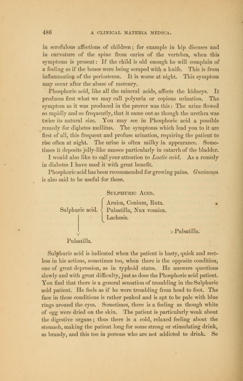 in scrofulous affections of children; for example in hip diseases and in curvature of the spine from caries of the vertebra, when this symptoms is present: If the child is old enough he will complain of a feeling as if the bones were being scraped with a knife. This is from inflammation of the periosteum. It is worse at night. This symptom may occur after the abuse of mercury. Phosphoric acid, like all the mineral acids, affects the kidneys. It produces first what we may call polyuria or copious urination. The symptom as it was produced in the prover was this: The urine flowed so rapidly and so frequently, that it came out as though the urethra was twice its natural size. You may see in Phosphoric acid a possible remedy for diabetes mellitus. The symptoms which lead you to it are first of all, this frequent and profuse urination, requiring the patient to rise often at night. The urine is often milky in appearance. Some- times it deposits jelly-like masses particularly in catarrh of the bladder. I would also like to call your attention to Lactic acid. As a remedy in diabetes I have used it with great benefit. Phosphoric acid has been recommended for growing pains. Guaiacum is also said to be useful for these. Sulphuric Acid. Arnica, Conium, Ruta. . Sulphuric acid. <[ Pulsatilla, Nux vomica. I Lachesis. > Pulsatilla. Pulsatilla. v Sulphuric acid is indicated when the patient is hasty, quick and rest- less in his actions, sometimes too, when there is the opposite condition, one of great depression, as in typhoid states. He answers questions slowly and with great difficulty, just as does the Phosphoric acid patient. You find that there is a general sensation of trembling in the Sulphuric acid patient. He feels as if he were trembling from head to foot. The face in these conditions is rather peaked and is apt to be pale with blue rings around the eyes. Sometimes, there is a feeling as though white of egg were dried on the skin. The patient is particularly weak about the digestive organs; thus there is a cold, relaxed feeling about the stomach, making the patient long for some strong or stimulating drink, as brandy, and this too in persons who are not addicted to drink. So