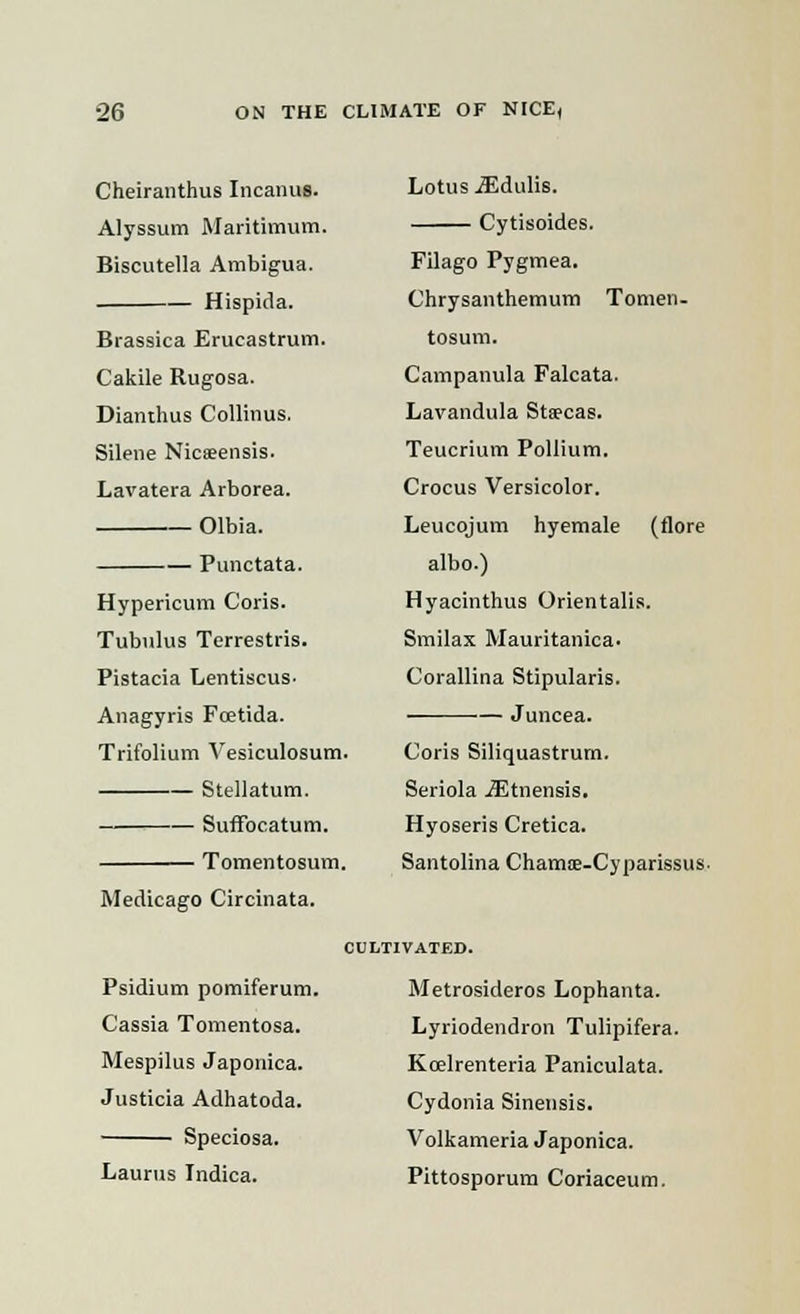 Cheiranthus Incanus. Alyssum Maritimum. Biscutella Ambigua. Hispida. Brassica Erueastrum. Cakile Rugosa. Dianthus Collinus. Silene Nicseensis. Lavatera Arborea. Olbia. Punctata. Hypericum C'oris. Tubulus Terrestris. Pistacia Lentiscus. Anagyris Fcetida. Trifolium Vesiculosum. Stellatum. Suffocatum. Tomentosum. Medicago Circinata. Psidium pomiferum. Cassia Tomentosa. Mespilus Japonica. Justicia Adhatoda. Speciosa. Laurns Indica. Lotus iEdulis. Cytisoides. Filago Pygmea. Chrysanthemum Tonien. tosum. Campanula Falcata. Lavandula Stsecas. Teucrium Pollium. Crocus Versicolor. Leucojum hyemale (flore albo.) Hyacinthus Orientalis. Smilax Mauritanica. Corallina Stipularis. Juncea. Coris Siliquastrum. Seriola iEtnensis, Hyoseris Cretica. Santolina Chamte-Cyparissus. CULTIVATED. Metrosideros Lophanta. Lyriodendron Tulipifera. Kcelrenteria Paniculata. Cydonia Sinensis. Volkameria Japonica. Pittosporum Coriaceum.
