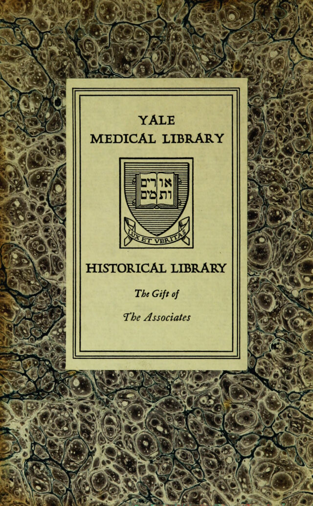 digitised image 2