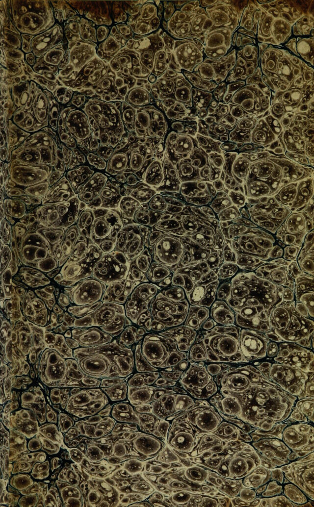digitised image 3