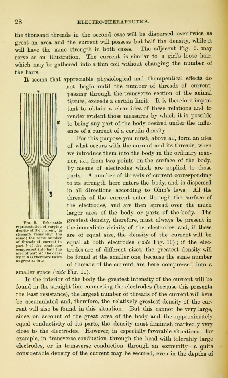 the thousand threads in the second case will be dispersed over twice as great an area and the current will possess but half the density, while it will have the same strength in both cases. The adjacent Fig. 9. may serve as an illustration. The current is similar to a girl's loose hair, which may be gathered into a thin coil without changing the number of the hairs. It seems that appreciable physiological and therapeutical effects do not begin until the number of threads of current, passing through the transverse section of the animal tissues, exceeds a certain limit. It is therefore impor- tant to obtain a clear idea of these relations and to render evident those measures by which it is possible to bring any part of the body desired under the influ- ence of a current of a certain density. For this purpose you must, above all, form an idea of what occurs with the current and its threads, when we introduce them into the body in the ordinary man- ner, i.e., from two points on the surface of the body, by means of electrodes which are applied to those parts. A number of threads of current corresponding to its strength here enters the body, and is dispersed in all directions according to Ohm's laws. All the threads of the current enter through the surface of the electrodes, and are then spread over the much larger area of the body or parts of the body. The greatest density, therefore, must always be present in the immediate vicinity of the electrodes, and, if these are of equal size, the density of the current will be equal at both electrodes (vide Fig. 10) ; if the elec- trodes are of different sizes, the greatest density will be found at the smaller one, because the same number of threads of the current are here compressed into a smaller space (vide Fig. 11). In the interior of the body the greatest intensity of the current will be found in the straight line connecting the electrodes (because this presents the least resistance), the largest number of threads of the current will here be accumulated and, therefore, the relatively greatest density of the cur- rent will also be found in this situation. But this cannot be very large, since, on account of the great area of the body and the approximately equal conductivity of its parts, the density must diminish markedly very close to the electrodes. However, in especially favorable situations—for example, in transverse conduction through the head with tolerably large electrodes, or in transverse conduction through an extremity—a quite considerable density of the current may be secured, even in the depths of Flo. 1*. — Schematic representation of varying density of the current, its strength remaining the game; the same number of threatis of current in part o of the conductor compressed into half the area of part a : the dens- ity in 6 is therefore twice as great as in a.