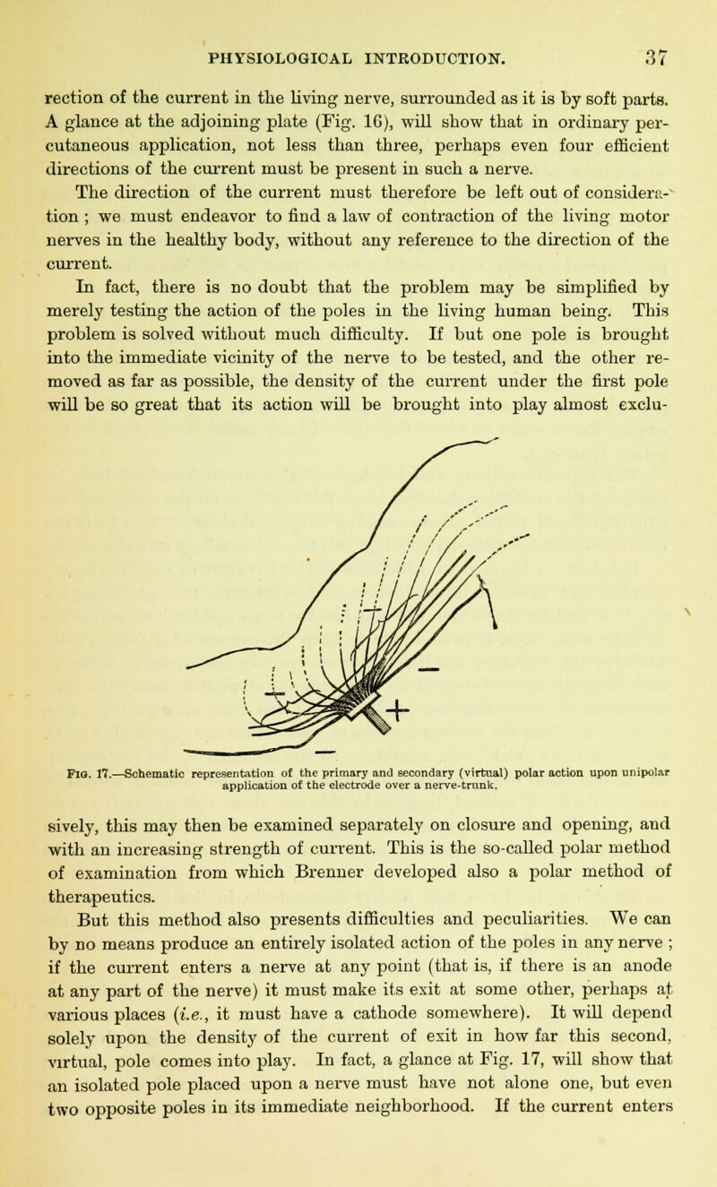 rection of the current in the living nerve, surrounded as it is by soft parts. A glance at the adjoining plate (Fig. 16), will show that in ordinary per- cutaneous application, not less than three, perhaps even four efficient directions of the current must be present in such a nerve. The direction of the current must therefore be left out of considera-' tion ; we must endeavor to find a law of contraction of the living motor nerves in the healthy body, without any reference to the direction of the current. In fact, there is no doubt that the problem may be simplified by merely testing the action of the poles in the living human being. This problem is solved without much difficulty. If but one pole is brought into the immediate vicinity of the nerve to be tested, and the other re- moved as far as possible, the density of the current under the first pole will be so great that its action will be brought into play almost exclu- Fio. 17.—Schematic representation of the primary and secondary (virtual) polar action upon unipolar application of the electrode over a nerve-trunk. sively, this may then be examined separately on closure and opening, aud with an increasing strength of current. This is the so-called polar method of examination from which Brenner developed also a polar method of therapeutics. But this method also presents difficulties and peculiarities. We can by no means produce an entirely isolated action of the poles in any nerve ; if the current enters a nerve at any point (that is, if there is an anode at any part of the nerve) it must make its exit at some other, perhaps at various places (i.e., it must have a cathode somewhere). It will depend solely upon the density of the current of exit in how far this second, virtual, pole comes into play. In fact, a glance at Fig. 17, will show that an isolated pole placed upon a nerve must have not alone one, but even two opposite poles in its immediate neighborhood. If the current enters