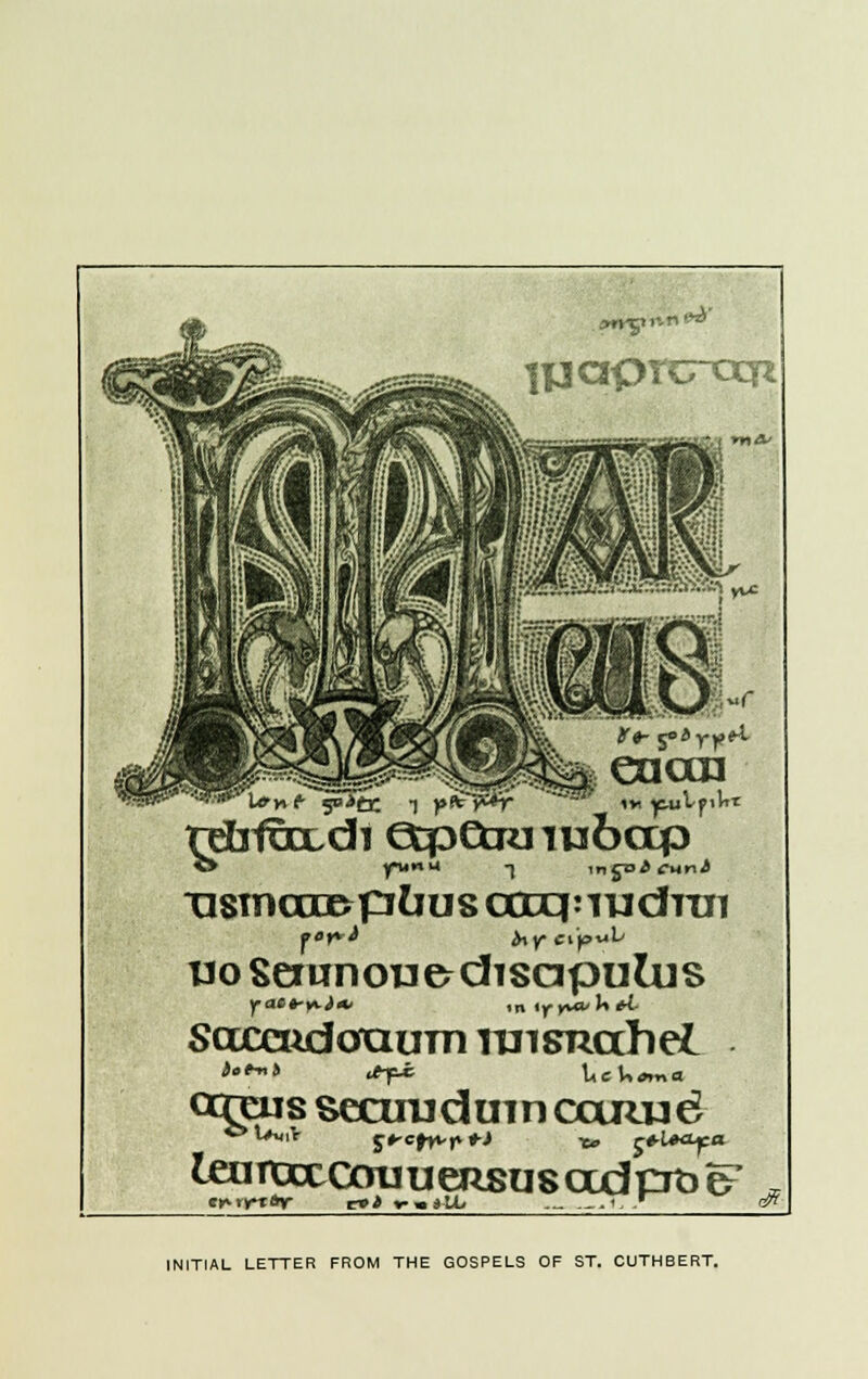 tpaprcrcxji eaan refalmxJi etpetRnu6ccp usmaropliiis arqnuditn uo Seranou&disapulus Saccudofaum TuiSRccheL ccmjs secundum carcud teunxccouueRsus ad cm e? e# INITIAL LETTER FROM THE GOSPELS OF ST. CUTHBERT.