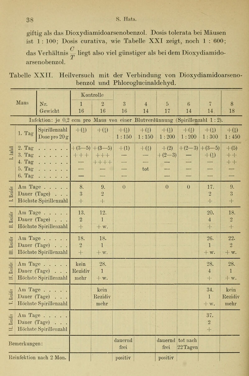 giftig als das Dioxydiamidoarsenobenzol. Dosis tolerata bei Mäusen ist 1: 100; Dosis curativa, wie Tabelle XXI zeigt, noch 1 : 600; Q das Verhältnis — liegt also viel günstiger als bei dem Dioxydiamido- arsenobenzol. Tabelle XXII. Heilversuch mit der Verbindung von Dioxydiamidoarseno- benzol und Phloroglucinaldehyd. Maus Nr. Gewicht Kontrolle 3 4 5 6 7 1 2 16 16 16 14 17 14 14 18 Infektion: je 0,2 ccm pro Maus von einer Blutverd iinnung (Spirillenzahl 1 : 2 • 1. Tag Spirillenzahl + (|) +(i) +(!) +(i) +(i) j +(*) +(i) + (1) Dose pro 20 g 1:150 1:150 1 : 200 1 1 : 200 1:300 1:450 = 2. Tag + (3-5) + (3-5) + d) +(*) + (2) + (2-3) + (3-5) +(5) -Sl 3. Tag + + + + + + — — + (2-3) — +(*) + + 4. Tag — + + + + + + 5. Tag — — — tot — — — — 6. Tag — — — — — — — .t Am Tage 8. 9. 0 0 0 17. 9. Dauer (Tage) . . . 3 2 2 3 Höchste Spirillenzahl + + + + .&: Am Tage 13. 12. 20. 18. J Dauer (Tage) . . . 2 1 4 2 sä Höchste Spirillenzahl + + w. + + 18. 18. 26. 22. ,3 Dauer (Tage) . . . 2 1 - 1 2 ~ 1 Höchste Spirillenzahl + + w. + w. + w. .K Am Tage kein 28. 28. 28. c-=. Dauer (Tage) . . . Rezidiv 1 4 1 E5 Höchste Spirillenzahl mehr + w. + + w. .t Am Tage kein 34. kein J Dauer (Tage) . . . Rezidiv 1 Rezidiv ^ Höchste Spirillenzahl mehr + w. mehr .'= Am Tage 37. d Dauer (Tage) . . . 2 -f , Höchste Spirillenzahl + Bemerkungen: dauernd frei dauernd frei tot nach 22 Tagen Re infektion nach 2 Mon. positiv positiv