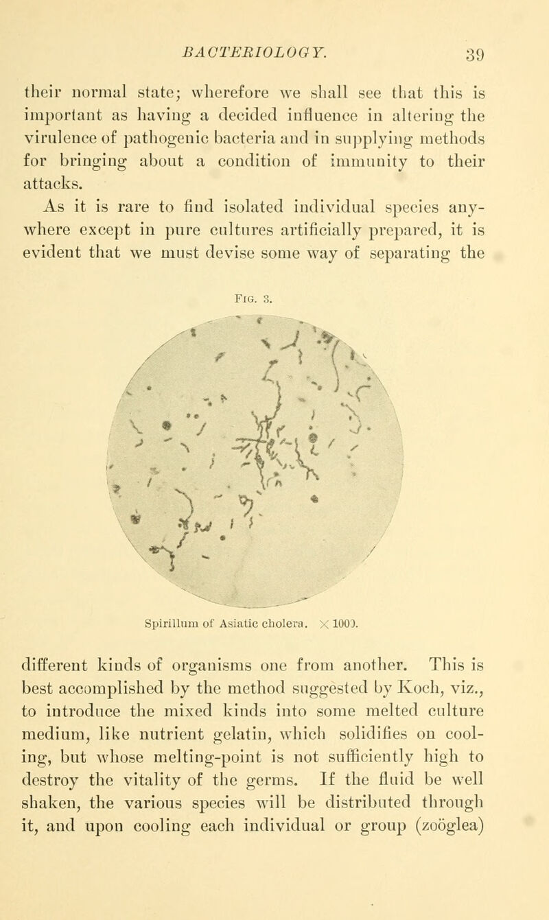their normal state; wherefore we shall see that this is important as having a decided influence in altering the virulence of pathogenic bacteria and in supplying methods for bringing about a condition of immunity to their attacks. As it is rare to find isolated individual species any- where except in pure cultures artificially prepared, it is evident that we must devise some way of separating the Spirillum of Asiatic cholera. X 100J. different kinds of organisms one from another. This is best accomplished by the method suggested by Koch, viz., to introduce the mixed kinds into some melted culture medium, like nutrient gelatin, which solidifies on cool- ing, but whose melting-point is not sufficiently high to destroy the vitality of the germs. If the fluid be well shaken, the various species will be distributed through it, and upon cooling each individual or group (zooglea)