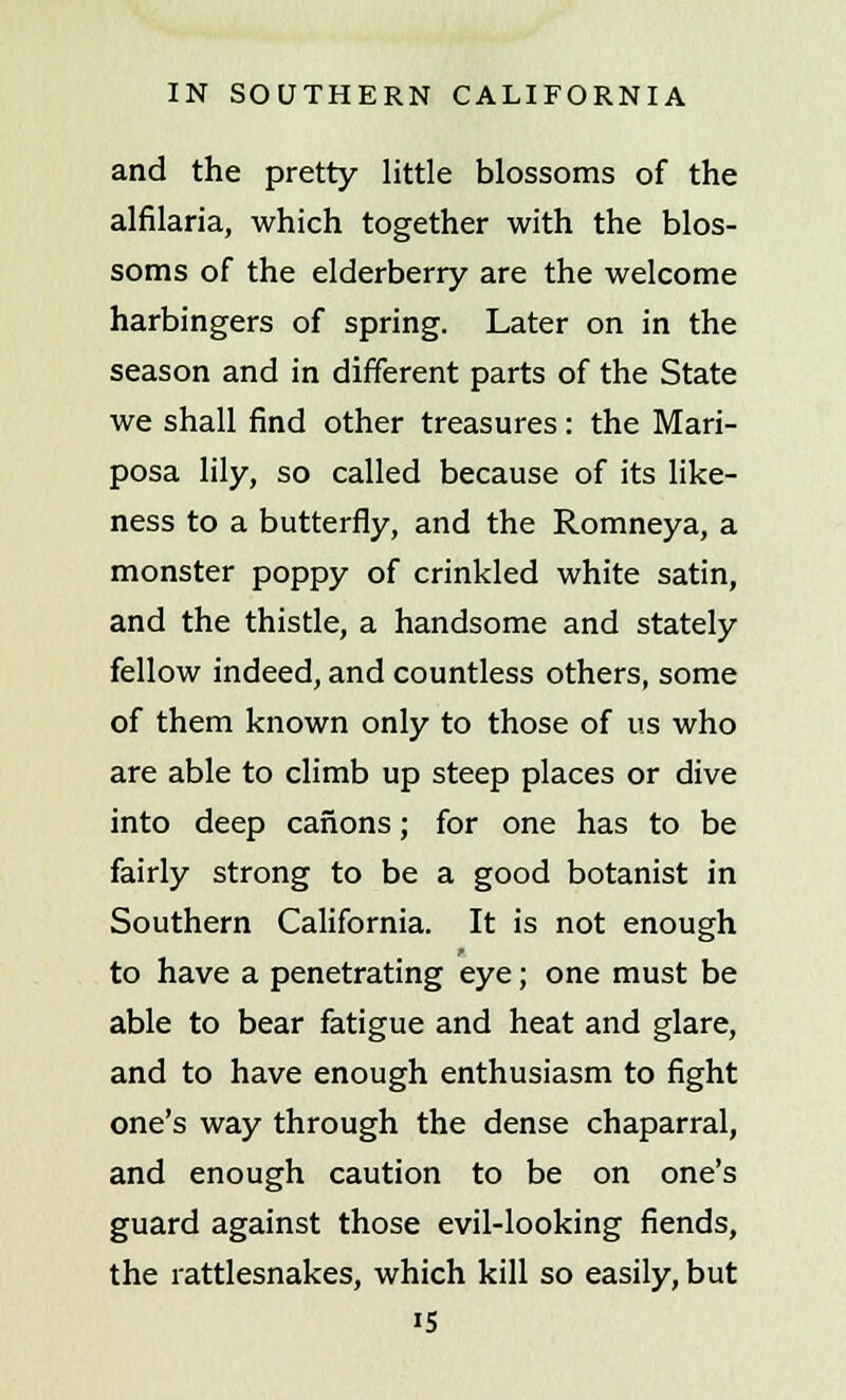 and the pretty little blossoms of the alfilaria, which together with the blos- soms of the elderberry are the welcome harbingers of spring. Later on in the season and in different parts of the State we shall find other treasures : the Mari- posa lily, so called because of its like- ness to a butterfly, and the Romneya, a monster poppy of crinkled white satin, and the thistle, a handsome and stately fellow indeed, and countless others, some of them known only to those of us who are able to climb up steep places or dive into deep canons; for one has to be fairly strong to be a good botanist in Southern California. It is not enough to have a penetrating eye; one must be able to bear fatigue and heat and glare, and to have enough enthusiasm to fight one's way through the dense chaparral, and enough caution to be on one's guard against those evil-looking fiends, the rattlesnakes, which kill so easily, but i5