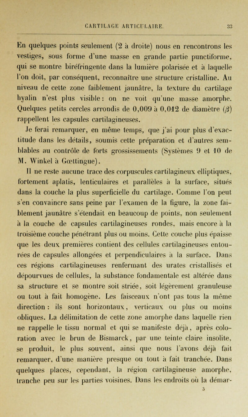 En quelques points seulement (2 à droite) nous en rencontrons les vestiges, sous forme d'une masse en grande partie punctiforme, qui se montre biréfringente dans la lumière polarisée et à laquelle l'on doit, par conséquent, reconnaître une structure cristalline. Au niveau de cette zone faiblement jaunâtre, la texture du cartilage hyalin n'est plus visible : on ne voit qu'une masse amorphe. Quelques petits cercles arrondis de 0,009 à 0,012 de diamètre (/?) rappellent les capsules cartilagineuses. Je ferai remarquer, en même temps, que j'ai pour plus d'exac- titude dans les détails, soumis cette préparation et d'autres sem- blables au contrôle de forts grossissements (Systèmes 9 et 10 de M. Winkel à Gœltingue). Il ne reste aucune trace des corpuscules cartilagineux elliptiques, fortement aplatis, lenticulaires et parallèles à la surface, situés dans la couche la plus superficielle du cartilage. Comme l'on peut s'en convaincre sans peine par l'examen de la figure, la zone fai- blement jaunâtre s'étendait en beaucoup de points, non seulement à la couche de capsules cartilagineuses rondes, mais encore à la troisième couche pénétrant plus ou moins. Celte couche plus épaisse que les deux premières contient des cellules cartilagineuses entou- rées de capsules allongées et perpendiculaires à la surface. Dans ces régions cartilagineuses renfermant des urates cristallisés et dépourvues de cellules, la substance fondamentale est altérée dans sa structure et se montre soit striée, soit légèrement granuleuse ou tout à fait homogène. Les faisceaux n'ont pas tous la même direction : ils sont horizontaux, verticaux ou plus ou moins obliques. La délimitation de cette zone amorphe dans laquelle rien ne rappelle le tissu normal et qui se manifeste déjà, après colo- ration avec le brun de Bismarck, par une teinte claire insolite, se produit, le plus souvent, ainsi que nous l'avons déjà fait remarquer, d'une manière presque ou tout à fait tranchée. Dans quelques places, cependant, la région cartilagineuse amorphe, tranche peu sur les parties voisines. Dans les endroits où la démar-