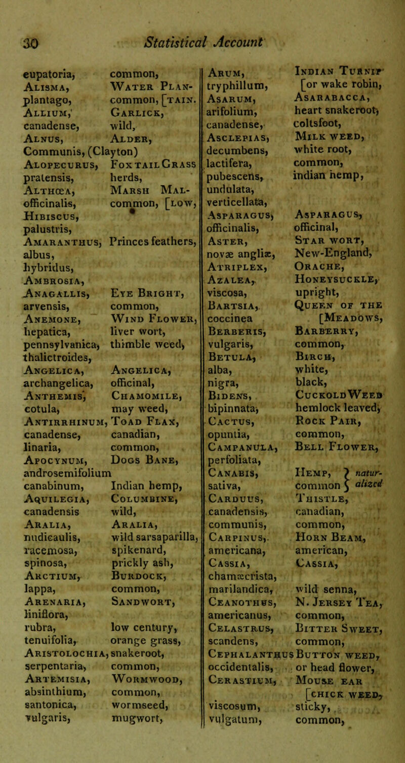 eupatoria, Alisma, plantago, Allium,' canadense, Alnus, common, Water Plan- common, [tain. Garlick, wild, Alder, Communis, (Clayton) Alopecurus, FoxtailCrass pralensis, herds, Althcea, Marsh Mal- officinalis, common, [low, Hibiscus, palustris, Amaranthus, Princes feathers, albus, liybridus, Ambrosia, Anagallis, Eye Bright, arvensis, common, Anemone, Wind Flower, hepatica, liver wort, pennsylvanica, thimble weed, thalictroides, Angelica, Angelica, archangelica, officinal, Anthemis, Chamomile, cotula, may weed, Antirrhinum, Toad Flax, canadense, Canadian, linaria, common, Apocynum, Dogs Bane, androsemifolium canabinum, Indian hemp, Aquilegia, Columbine, canadensis wild, Aralia, Aralia, midieaulis, wild sarsapai'illa, racemosa, spikenard, spinosa, prickly asli, Arctium, Burdock, lappa, common, Arenaria, Sandwort, Hniflora, rubra, low century, tenuifolia, orange grass, Aristolochia, snakeroot, serpentaria, common, Artemisia, Wormwood, absinthium, common, santonica, wormseed, Tulgaris, mugwort, Arum, Indian Turnip tryphillum, [or wake robin, Asarum, Asarabacca, arifolium, heart snakeroot, canadense,- coltsfoot, Asclepias, Milkweed, decumbens, white root, lactifera, common, pubescens, indian hemp, undulata, verticellata, Asparagus) Asparagus, officinalis, officinal, Aster, Star wort, novae anglia, New-England, Atriplex, Orache, Azalea,. Honeysuckle, viscosa, upright, Bartsia, Queen of the coccinea [Meadows, Berberis, Barberry, vulgaris, common, Betula, Birch, alba, white, nigra, black, Bidens, CuckoldWeeb ■ bipinnata, hemlock leaved, Cactus, Rock Pair, opuntia, common, Campanula, Bell Flower, perfoliata, Canabis, IIemp, > natur- sativa, common 5 tized- Carduus, Thistle, canadensis, Canadian, communis, common, Carpinus,. Horn Beam, americana, american, Cassia, Cassia, chamxerista, marilandica, wild senna, Ceanothhs, N. Jersey Tea, americanus, common, Celastrus, Bitter Sweet, scandens, common, CephalanthusButton weed, occidentalis, or head flower, Cerastium, Mou&e ear [chick weed, viscosgm, sticky, vulgatum, common,