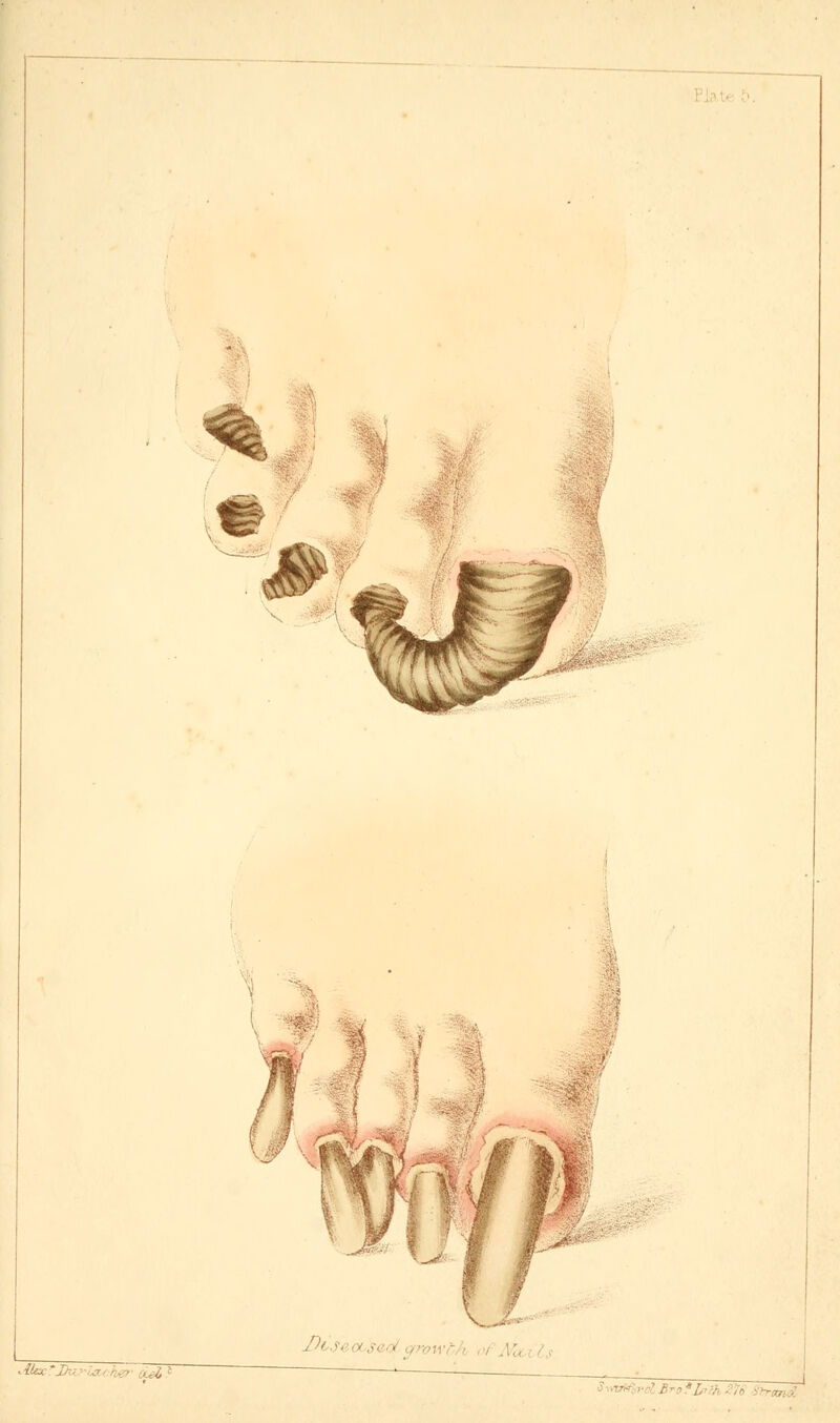 ' :uZ 8 STofJpth ■ ,» Strand,