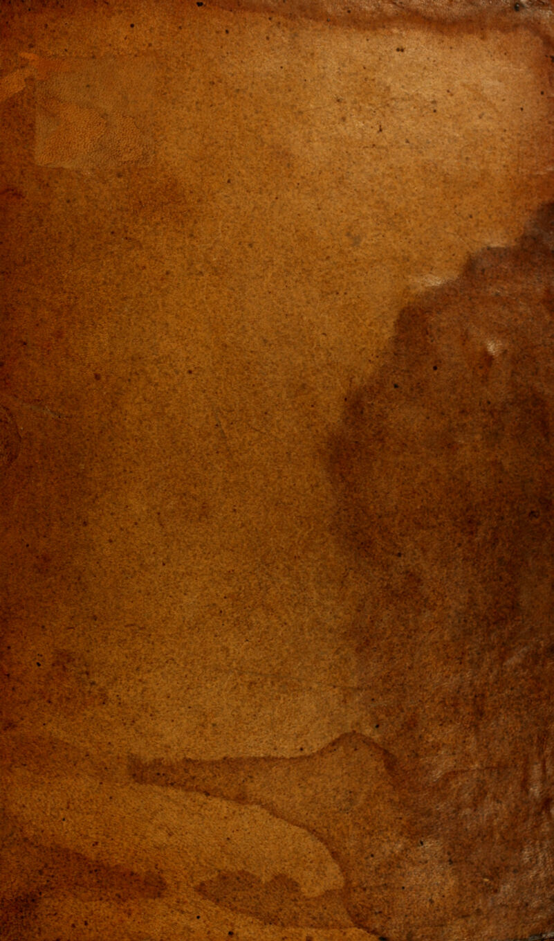 ^ ^/•'t^^^^jw >i>i .v