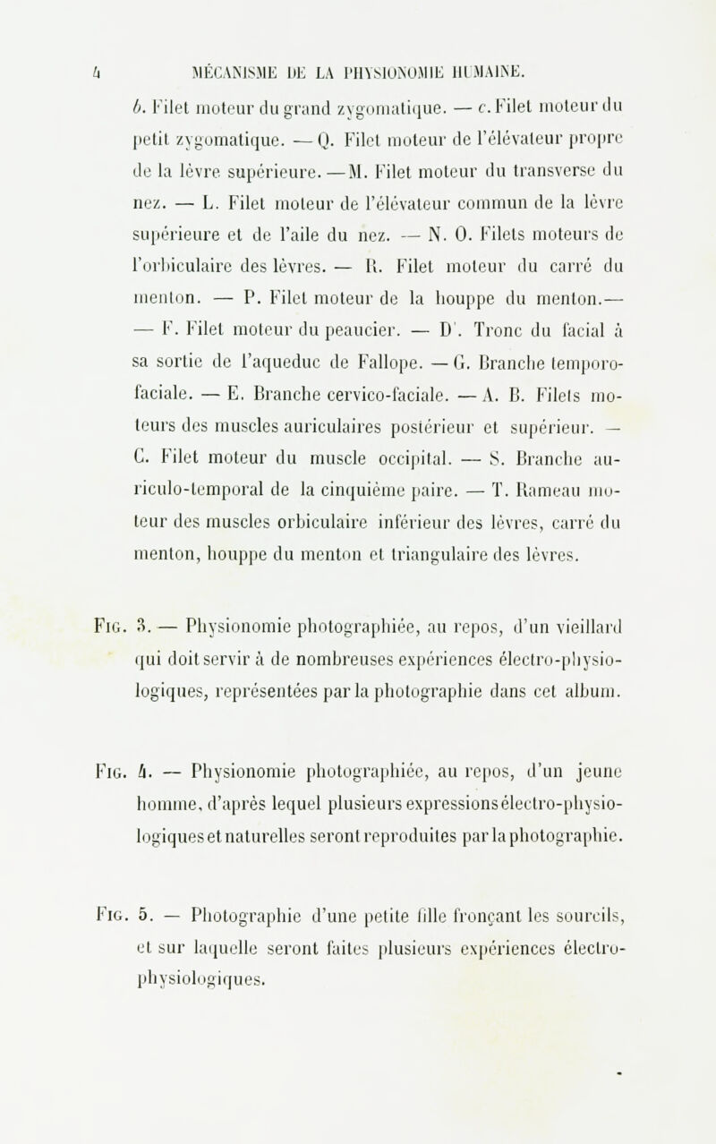 b. Filet moteur du grand zygomatique. — c. Filet moteur du petit zygomatique. —Q. Filet moteur de l'élévateur propre de la lèvre supérieure.—M. Filet moteur du transverse du nez. — L. Filet moteur de l'élévateur commun de la lèvre supérieure et de l'aile du nez. — N. 0. Filets moteurs de l'orbiculaire des lèvres.— R. Filet moteur du carré du menton. — P. Filet moteur de la houppe du menton.— — F. Filet moteur du peaucier. — D. Tronc du facial à sa sortie de l'aqueduc de Fallope. — G. Branche temporo- faciale. —E, Branche cervico-faciale. —A. B. Filets mo- teurs des muscles auriculaires postérieur et supérieur. — C. Filet moteur du muscle occipital. — S. Branche au- riculo-temporal de la cinquième paire. — T. Bameau mo- teur des muscles orbiculaire inférieur des lèvres, carré du menton, houppe du menton et triangulaire des lèvres. Fig. 3. — Physionomie photographiée, au repos, d'un vieillard qui doit servir à de nombreuses expériences électro-physio- logiques, représentées parla photographie dans cet album. Fig. l\. — Physionomie photographiée, au repos, d'un jeune homme, d'après lequel plusieurs expressionséleclro-physio- logiques et naturelles seront reproduites par la photographie. Fig. 5. — Photographie d'une petite fille fronçant les sourcils, et sur laquelle seront faites plusieurs expériences électro- physiologiques.