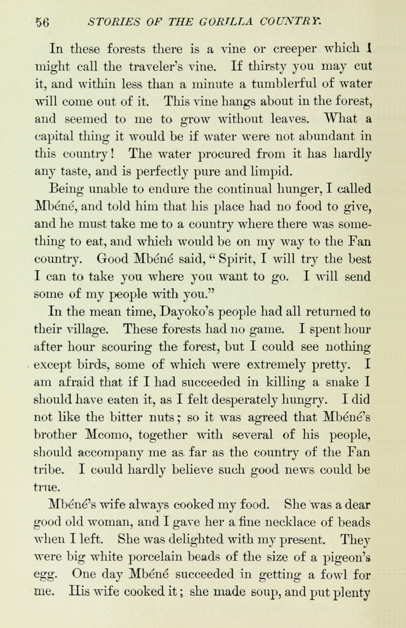 In these forests there is a vine or creeper which I might call the traveler's vine. If thirsty you may cut it, and within less than a minute a tumblerful of water will come out of it. This vine hangs about in the forest, and seemed to me to grow without leaves. What a capital thing it would be if water were not abundant in this country! The water procured from it has hardly any taste, and is perfectly pure and limpid. Being unable to endure the continual hunger, I called Mbene, and told him that his place had no food to give, and he must take me to a country where there was some- thing to eat, and which would be on my way to the Fan country. Good Mbe'ne' said,  Spirit, I will try the best I can to take you where you want to go. I will send some of my people with you. In the mean time, Dayoko's people had all returned to their village. These forests had no game. I spent hour after hour scouring the forest, but I could see nothing except birds, some of which were extremely pretty. I am afraid that if I had succeeded in killing a snake I should have eaten it, as I felt desperately hungry. I did not like the bitter nuts; so it was agreed that Mbdnfs brother Mcomo, together with several of his people, should accompany me as far as the country of the Fan tribe. I could hardly bebeve such good news could be true. Mben^'s wife always cooked my food. She was a dear good old woman, and I gave her a fine necklace of beads when I left. She was delighted with my present. They were big white porcelain beads of the size of a pigeon's egg. One day Mbene' succeeded in getting a fowl for me. His wife cooked it; she made soup, and put plenty
