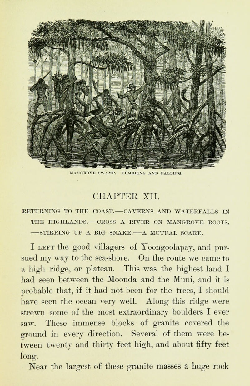 MANGROVE SWAMP. TUMBLLNtr AND FALLING. CIIAPTEE XII. RETURNING TO THE COAST. CAVERNS AND WATERFALLS ESI THE HIGHLANDS. CROSS A RP7ER ON MANGROVE ROOTS. STLRRLNG LP A BIG SNAKE. A MUTUAL SCARE. I left the good villagers of Yoongoolapay, and pur- sued my way to the sea-shore. On the route we came to a high ridge, or plateau. This was the highest land I had seen between the Moonda and the Muni, and it is probable that, if it had not been for the trees, I should have seen the ocean very well. Along this ridge were strewn some of the most extraordinary boulders I ever saw. These immense blocks of granite covered the ground in every direction. Several of them were be- tween twenty and thirty feet high, and about fifty feet long. Near the largest of these granite masses a huge rock
