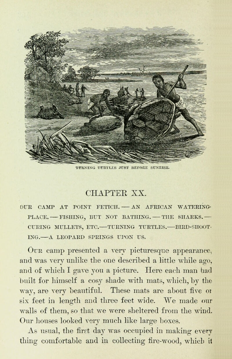 TCKNIN'Vi TFRTTJB .IFBT ItEFOHK SUNRISE- CHAPTER XX. OUR CAMP AT POINT FETICH. AN AFRICAN WATERING- PLACE. FISHING, BUT NOT BATHING. THE SHARKS.— CURING MULLETS, ETC. TURNING TURTLES. BIRD-SHOOT- ING. A LEOPARD SPRINGS UPON US. Our camp presented a very pictnresrpie appearance, and was very unlike the one described a little while ago, and of which I gave you a picture. Here each man had built for himself a cosy shade with mats, which, by the way, are very beautiful. These mats are about five or six feet in length and three feet wide. We made our walls of them, so that we were sheltered from the wind. Our houses looked very much like large boxes. As usual, the first day was occupied in making every thing comfortable and in collecting fire-wood, which it