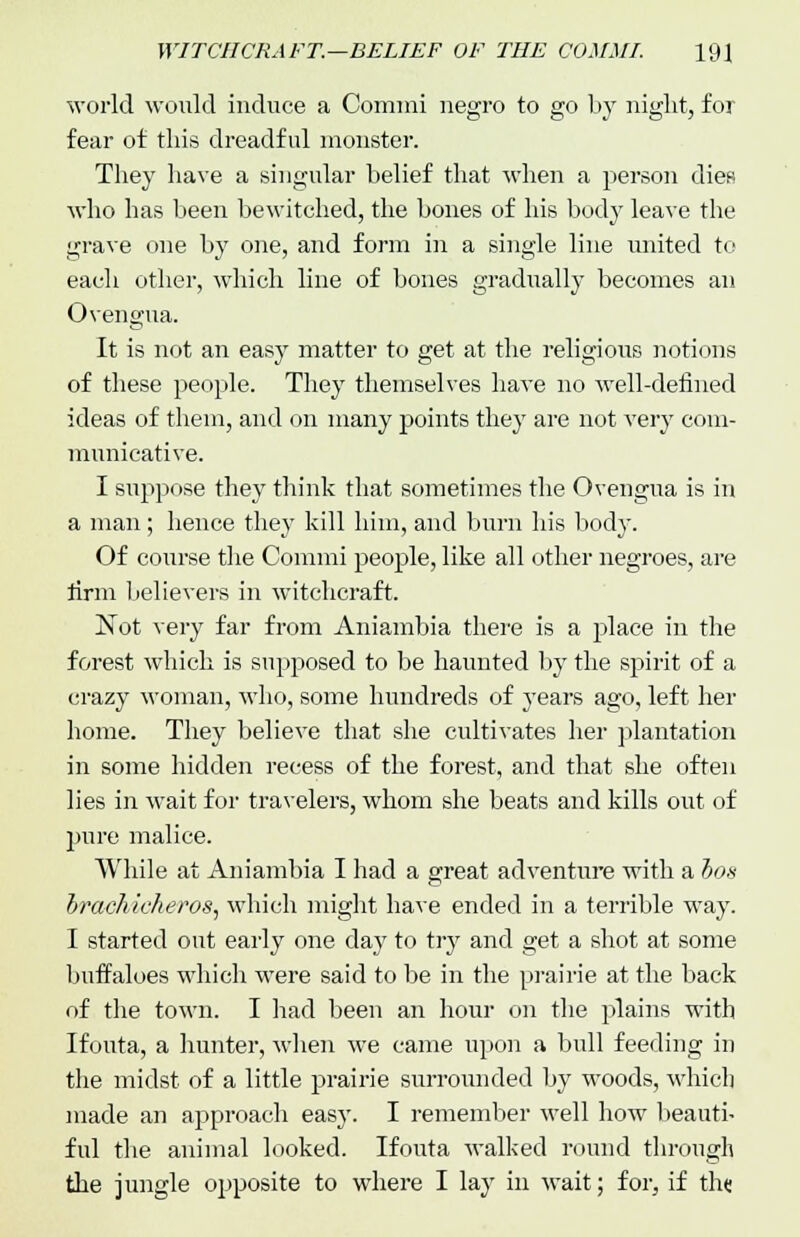 world would induce a Commi negro to go by night, for fear of this dreadful monster. They have a singular belief that when a person dies who has been bewitched, the bones of his body leave the grave one by one, and form in a single line united to each other, which line of bones gradually becomes an Ovengua. It is not an easy matter to get at the religioiis notions of these people. They themselves have no well-defined ideas of them, and on many points they are not very com- municative. I suppose they think that sometimes the Ovengua is in a man; hence they kill him, and burn his body. Of course the Commi people, like all other negroes, are firm believers in witchcraft. Not very far from Aniambia there is a place in the forest which is supposed to be haunted by the spirit of a crazy woman, who, some hundreds of years ago, left her home. They believe that she cultivates her plantation in some hidden recess of the forest, and that she often lies in wait for travelers, whom she beats and kills out of pure malice. While at Aniambia I had a great adventure with a ios Irachic/ieros, which might have ended in a terrible way. I started out early one day to try and get a shot at some buffaloes which were said to be in the prairie at the back of the town. I had been an hour on the plains with Ifouta, a hunter, when we came upon a bull feeding in the midst of a little prairie surrounded by woods, which made an approach easy. I remember well how beauti- ful the animal looked. Ifouta walked round through the jungle opposite to where I lay in wait; for, if th«
