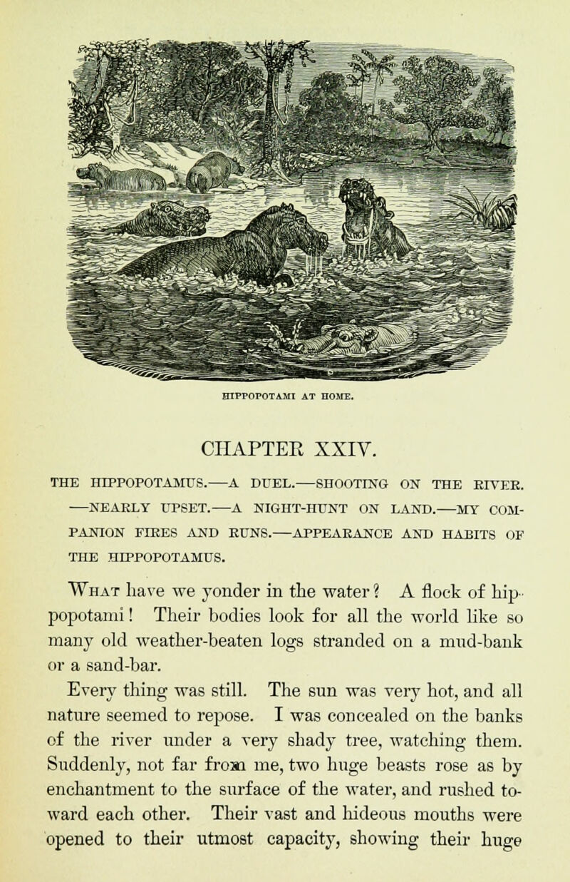 HIPPOPOTAMI AT nOME. CHAPTER XXIV. THE HIPPOPOTAMUS. A DUEL. SHOOTING ON THE RIVER. NEARLY UPSET.—A NIGHT-HUNT ON LAND. MY COM- PANION FERES AND EUNS.—APPEARANCE AND HABITS OF THE HIPPOPOTAMUS. What have we yonder in the water ? A flock of hip popotami! Their bodies look for all the world like so many old weather-beaten logs stranded on a mud-bank or a sand-bar. Every thing was still. The sun was very hot, and all nature seemed to repose. I was concealed on the banks of the river under a very shady tree, watching them. Suddenly, not far from me, two huge beasts rose as by enchantment to the surface of the water, and rushed to- ward each other. Their vast and hideous mouths were opened to their utmost capacity, showing their huge