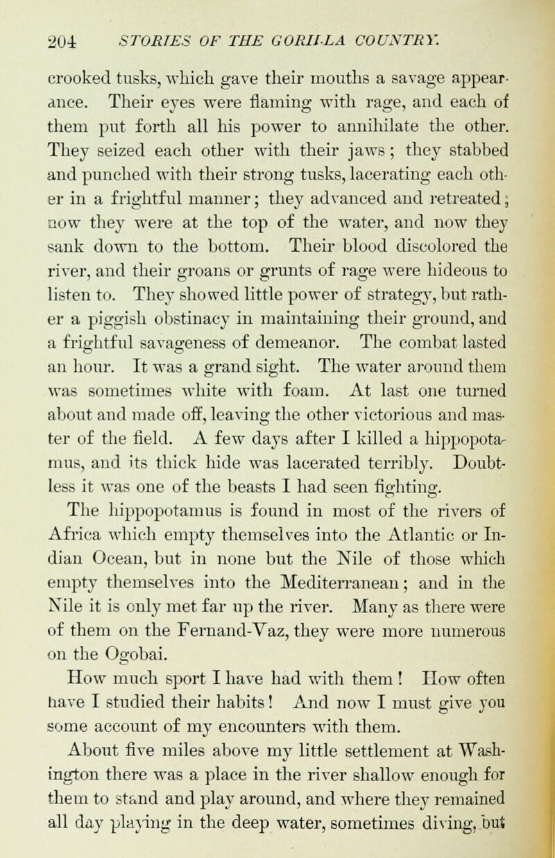 crooked tusks, which gave their mouths a savage ajspear- anee. Their eyes were flaming with rage, and each of them put forth all his power to annihilate the other. They seized each other with their jaws; they stahbed and punched with their strong tusks, lacerating each oth- er in a frightful manner; they advanced and retreated; now they were at the top of the water, and now they sank down to the bottom. Their blood discolored the river, and their groans or grunts of rage were hideous to listen to. They showed little power of strategy, but rath- er a piggish obstinacy in maintaining their ground, and a frightful savageness of demeanor. The combat lasted an hour. It was a grand sight. The water around them was sometimes white with foam. At last one turned about and made off, leaving the other victorious and mas- ter of the field. A few days after I killed a hippopota- mus, and its thick hide was lacerated terribly. Doubt- less it was one of the beasts I had seen fighting. The hippopotamus is found in most of the rivers of Africa which empty themselves into the Atlantic or In- dian Ocean, but in none but the Nile of those which empty themselves into the Mediterranean; and in the Nile it is only met far up the river. Many as there were of them on the Fernand-Vaz, they were more numerous on the Ogobai. How much sport I have had with them ! How often have I studied their habits! And now I must give you some account of my encounters with them. About five miles above my little settlement at Wash- ington there was a place in the river shallow enough for them to stand and play around, and where they remained all day playing in the deep water, sometimes diving, bud