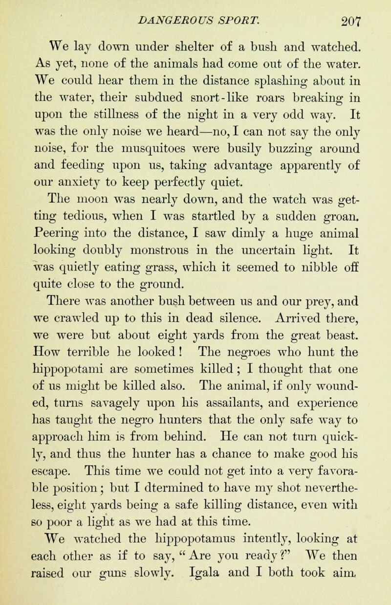 We lay down under shelter of a bush and watched. As yet, none of the animals had come out of the water. We could hear them in the distance splashing about in the water, their subdued snort-like roars breaking in upon the stillness of the night in a very odd way. It was the only noise we heard—no, I can not say the only noise, for the musquitoes were busily buzzing aroimd and feeding iq:>on us, taking advantage apparently of our anxiety to keep perfectly quiet. The moon was nearly down, and the watch was get- ting tedious, when I was startled by a sudden groan. Peering into the distance, I saw dimly a huge animal looking doubly monstrous in the uncertain light. It was quietly eating grass, which it seemed to nibble off quite close to the ground. There was another bush between us and our prey, and we crawled up to this in dead silence. Arrived there, we were but about eight yards from the great beast. How terrible he looked! The negroes who hunt the hippopotami are sometimes killed; I thought that one of us might be killed also. The animal, if only wound- ed, turns savagely upon his assailants, and experience has taught the negro hunters that the only safe way to approach him is from behind. He can not turn quick- ly, and thus the hunter has a chance to make good his escape. This time we could not get into a very favora- ble position; but I dtermined to have my shot neverthe- less, eight yards being a safe killing distance, even with so poor a light as we had at this time. We watched the hippopotamus intently, looking at each other as if to say,  Are you ready V We then raised our guns slowly. Igala and I both took aim