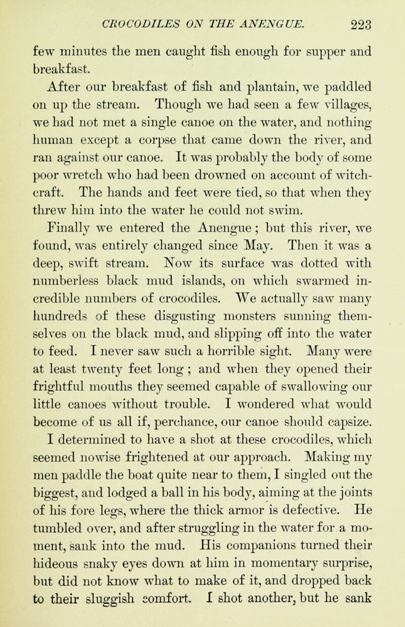 few minutes the men caught fish enough for supper and breakfast. After our breakfast of fish and plantain, we paddled on up the stream. Though we had seen a few villages, we had not met a single canoe on the water, and nothing human except a corpse that came down the river, and ran against our canoe. It was probably the body of some poor wretch who had been drowned on account of witch- craft. The hands and feet were tied, so that when they threw him into the water he could not swim. Finally we entered the Anengue; but this river, we found, was entirely changed since May. Then it was a deep, swift stream. Now its surface was dotted with numberless black mud islands, on which swarmed in- credible numbers of crocodiles. We actually saw many hundreds of these disgusting monsters sunning them- selves on the black mud, and slipping off into the water to feed. I never saw such a horrible sight. Many were at least twenty feet long; and when they ojDened their frightful moxiths they seemed capable of swallowing our little canoes without trouble. I wondered what would become of us all if, perchance, our canoe should capsize. I determined to have a shot at these crocodiles, which seemed nowise frightened at our approach. Making my men paddle the boat quite near to them, I singled out the biggest, and lodged a ball in his body, aiming at the joints of his fore legs, where the thick armor is defective. He tumbled over, and after struggling in the water for a mo- ment, sank into the mud. His companions turned their hideous snaky eyes down at him in momentary surprise, but did not know what to make of it, and dropped back to their sluggish comfort. I shot another, but he sank