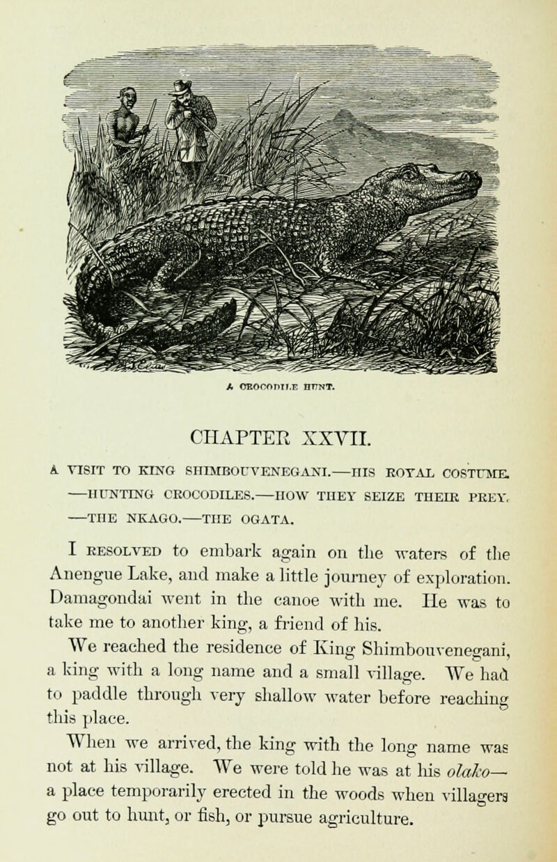 A OBOCOmi.E OITNT. CHAPTER XXVII. A VISIT TO KING SHEVIBOCVENEGANI. HIS ROYAL COSTUME. —HUNTING CROCODILES. HOW THEY SEIZE THEIR PREY. THE NKAGO. THE OGATA. I resolved to embark again on the waters of the Anengue Lake, and make a little journey of exploration. Damagondai went in the canoe with me. He was to take me to another king, a friend of his. We reached the residence of King Shimbouvenegani, a king with a long name and a small village. We haa to paddle through very shallow water before reaching this place. When we arrived, the king with the long name was not at his village. We were told he was at his olako— a place temporarily erected in the woods when villagers go out to hunt, or fish, or pursue agriculture.