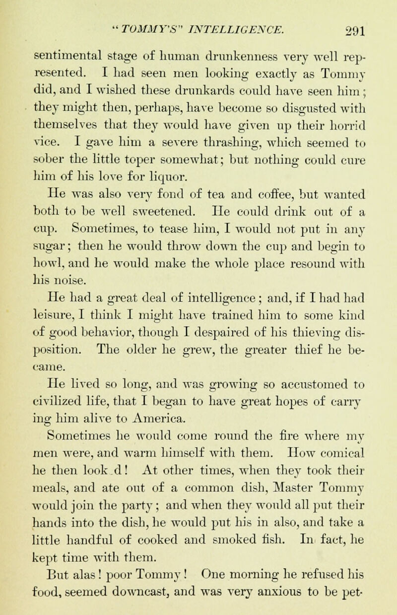 sentimental stage of human drunkenness very well rep- resented. I had seen men looking exactly as Tommy did, and I wished these drunkards could have seen him; they might then, perhaps, have become so disgusted with themselves that they would have given up their horrid vice. I gave him a severe thrashing, which seemed to sober the little toper somewhat; but nothing could cure him of his love for liquor. He was also very fond of tea and coffee, but wanted both to be well sweetened. He could drink out of a cup. Sometimes, to tease him, I would not put in any sugar; then he would throw down the cup and begin to howl, and he would make the whole place resound with his noise. He had a great deal of intelligence; and, if I had had leisure, I think I might have trained him to some kind of good behavior, though I despaired of his thieving dis- position. The older he grew, the greater thief he be- came. He lived so long, and was growing so accustomed to civilized life, that I began to have great hopes of carry ing him alive to America. Sometimes he would come round the fire where my men were, and warm himself with them. How comical he then looked! At other times, when they took their meals, and ate out of a common dish, Master Tommy would join the party; and when they would all put their hands into the dish, he would put his in also, and take a little handful of cooked and smoked fish. In fact, lie kept time with them. But alas! poor Tommy! One morning he refused his food, seemed downcast, and was very anxious to be pet-