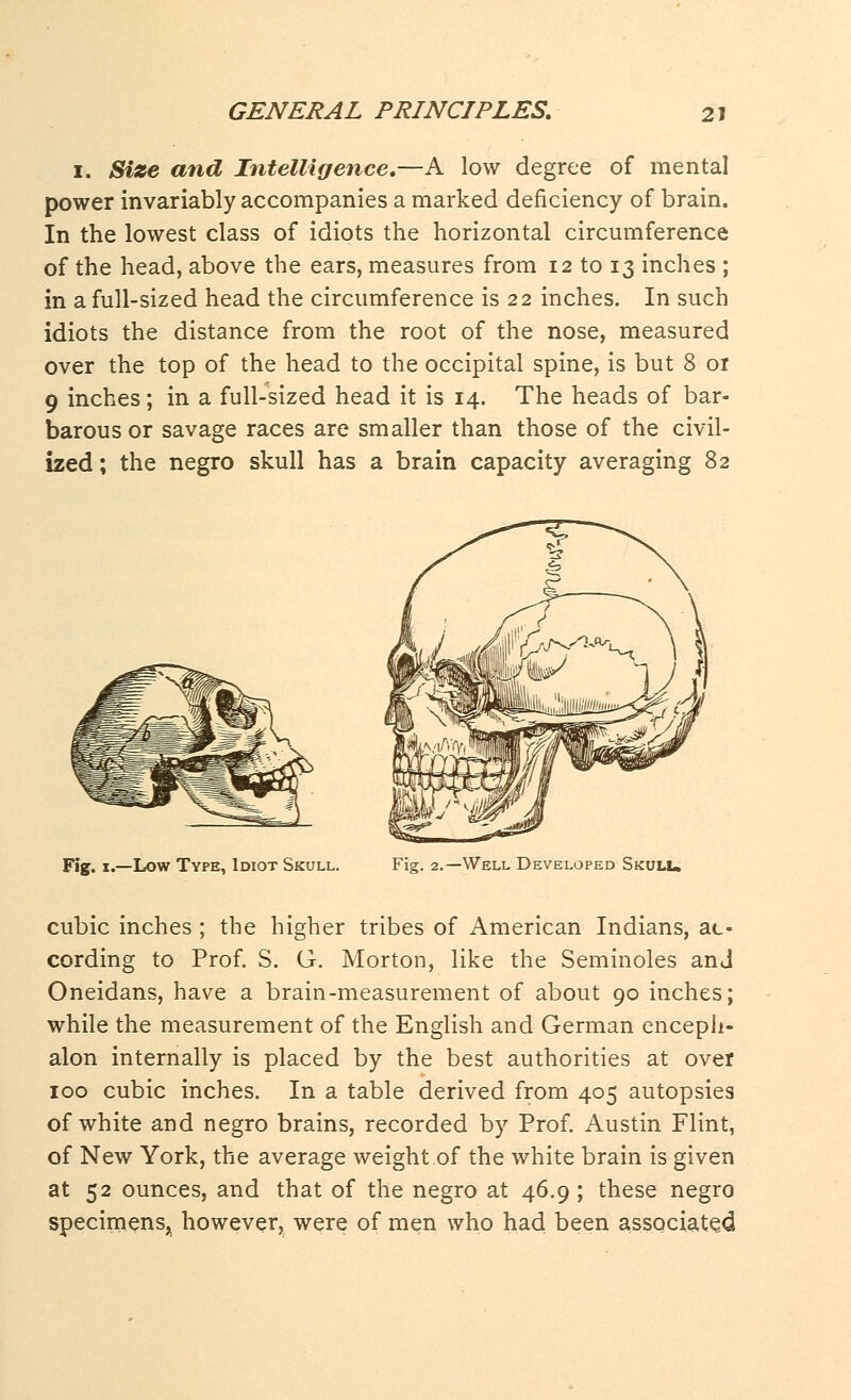 I. Size and Intelligence.—A low degree of mental power invariably accompanies a marked deficiency of brain. In the lowest class of idiots the horizontal circumference of the head, above the ears, measures from 12 to 13 inches ; in a full-sized head the circumference is 22 inches. In such idiots the distance from the root of the nose, measured over the top of the head to the occipital spine, is but 8 or 9 inches; in a full-sized head it is 14. The heads of bar- barous or savage races are smaller than those of the civil- ized; the negro skull has a brain capacity averaging 82 Fig. 1.—Low Type, Idiot Skull. Fig. 2.—Well Developed Skull. cubic inches ; the higher tribes of American Indians, ac- cording to Prof. S. G. Morton, like the Seminoles and Oneidans, have a brain-measurement of about 90 inches; while the measurement of the English and German encepli- alon internally is placed by the best authorities at over 100 cubic inches. In a table derived from 405 autopsies of white and negro brains, recorded by Prof. Austin Flint, of New York, the average weight of the white brain is given at 52 ounces, and that of the negro at 46.9 ; these negro specimens* however, were of men who had been associated