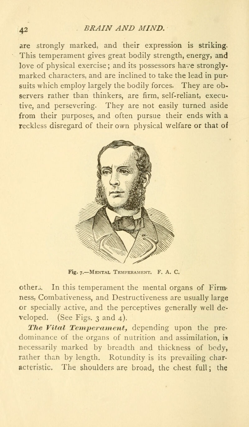 are strongly marked, and their expression is striking. This temperament gives great bodily strength, energy, and love of physical exercise; and its possessors have strongly- marked characters, and are inclined to take the lead in pur- suits which employ largely the bodily forces. They are ob- servers rather than thinkers, are firm, self-reliant, execu- tive, and persevering. They are not easily turned aside from their purposes, and often pursue their ends with a reckless disregard of their own physical welfare or that of Fig. 7.—Mental Temperament. F. A. C. otherj. In this temperament the mental organs of Firm- ness, Combativeness, and Destructiveness are usually large or specially active, and the perceptives generally well de- veloped. (See Figs. 3 and 4). T7ie Vital Temperament, depending upon the pre- dominance of the organs of nutrition and assimilation, is necessarily marked by breadth and thickness of body, rather than by length. Rotundity is its prevailing char- acteristic. The shoulders are broad, the chest full; the