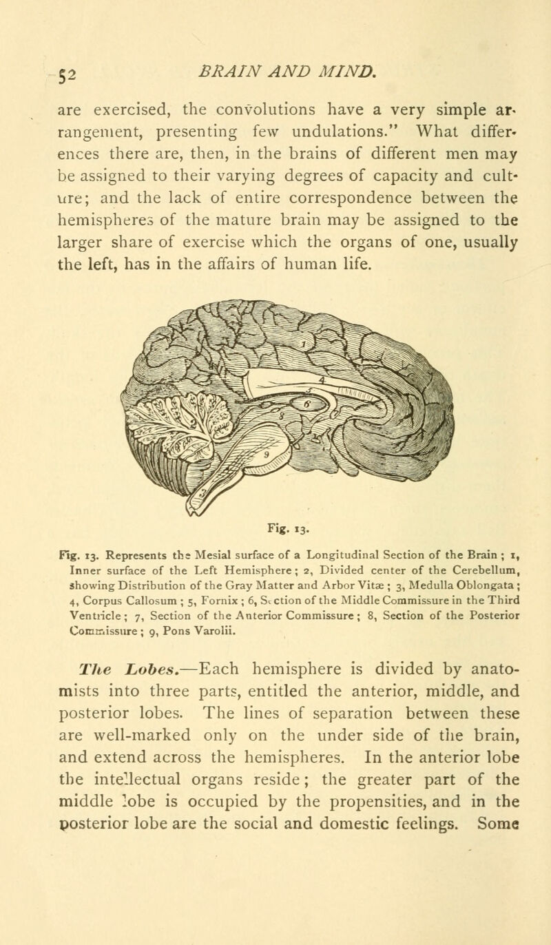 are exercised, the convolutions have a very simple ar« rangement, presenting few undulations. What differ- ences there are, then, in the brains of different men may be assigned to their varying degrees of capacity and cult- ure; and the lack of entire correspondence between the hemispheres of the mature brain may be assigned to the larger share of exercise which the organs of one, usually the left, has in the affairs of human life. Fig. 13. Fig. 13. Represents the Mesial surface of a Longitudinal Section of the Brain ; 1, Inner surface of the Left Hemisphere; 2, Divided center of the Cerebellum, showing Distribution of the Gray Matter and Arbor Vita?; 3, Medulla Oblongata ; 4, Corpus Callosum ; 5, Fornix; 6, Section of the Middle Commissure in the Third Ventricle ; 7, Section of the Anterior Commissure ; 8, Section of the Posterior Commissure ; 9, Pons Varolii. The Lobes.—Each hemisphere is divided by anato- mists into three parts, entitled the anterior, middle, and posterior lobes. The lines of separation between these are well-marked only on the under side of the brain, and extend across the hemispheres. In the anterior lobe the intellectual organs reside; the greater part of the middle lobe is occupied by the propensities, and in the posterior lobe are the social and domestic feelings. Some