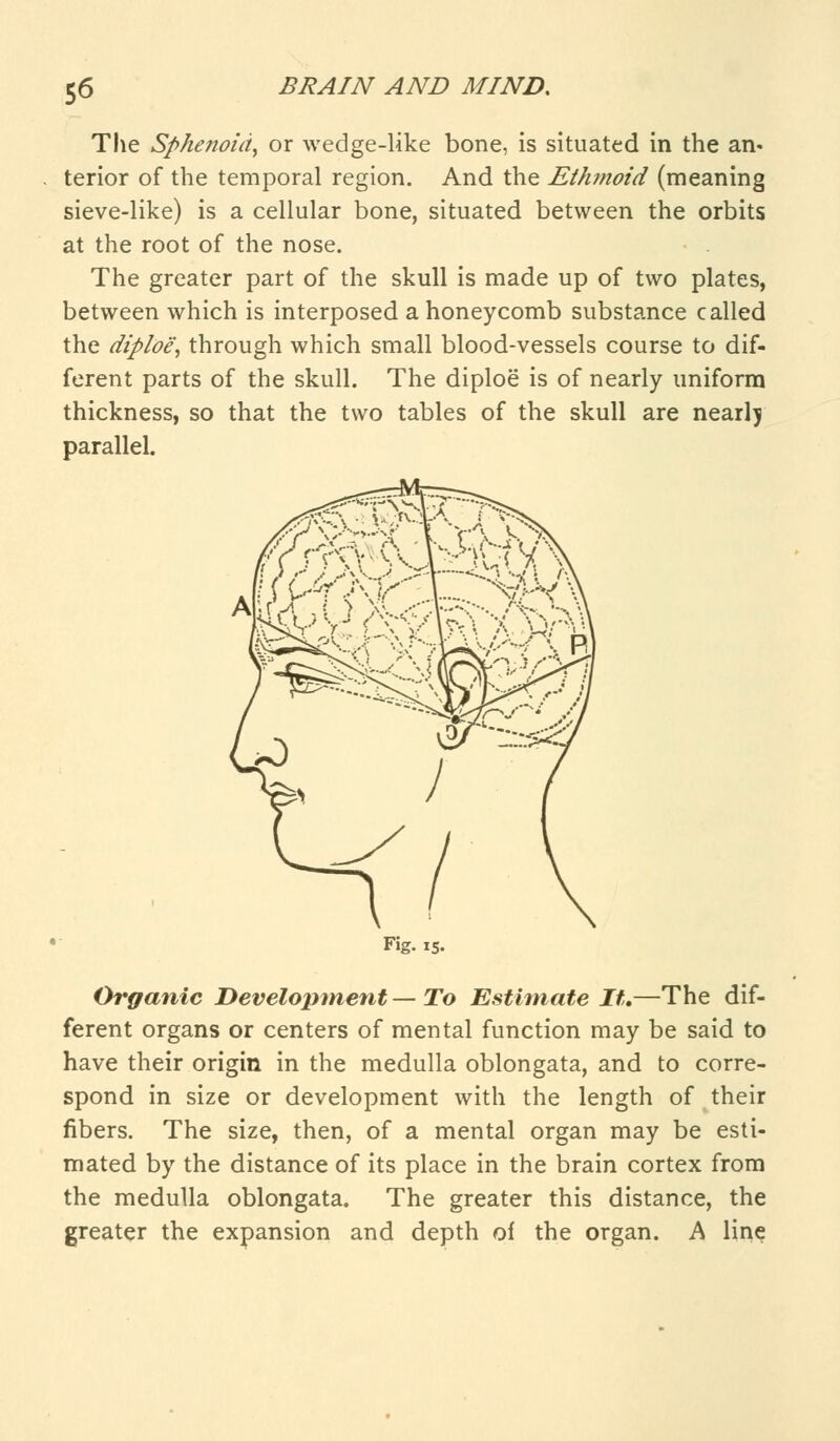 The Sphenoid, or wedge-like bone, is situated in the an. terior of the temporal region. And the Ethmoid (meaning sieve-like) is a cellular bone, situated between the orbits at the root of the nose. The greater part of the skull is made up of two plates, between which is interposed a honeycomb substance called the diploe', through which small blood-vessels course to dif- ferent parts of the skull. The diploe is of nearly uniform thickness, so that the two tables of the skull are nearly parallel. Fig. is- Organic Development — To Estimate It,—The dif- ferent organs or centers of mental function may be said to have their origin in the medulla oblongata, and to corre- spond in size or development with the length of their fibers. The size, then, of a mental organ may be esti- mated by the distance of its place in the brain cortex from the medulla oblongata. The greater this distance, the greater the expansion and depth of the organ. A line