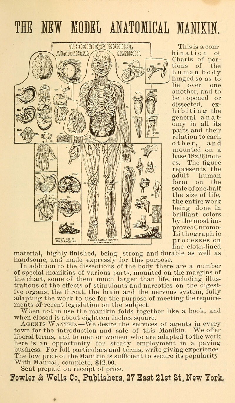 THE NEW MODEL ANATOMICAL MANIKIN. This is a com- bination o\. Charts of por- tions of the human body- hinged so as to lie over one another, and to be opened or dissected, ex- hibiting the general anat- omy in all its parts and their relation to each other, and mounted on a base 18x36 inch- es. The figure represents the adult human form on the scale of one-half the size of life, the entire work being done in brilliant colors by the most im- proved Chromo- Lithographic processes on fine cloth-lined material, highly finished, being strong and durable as well as handsome, and made expressly for this purpose. In addition to the dissections of the body there are a number of special manikins of various parts, mounted on the margins of the chart, some of them much larger than life, including illus- trations of the effects of stimulants and narcotics on the digest- ive organs, the throat, the brain and. the nervous system, fully adapting the work to use for the purpose of meeting the require- ments of recent legislation on the subject. When not in use the manikin folds together like a book, and when closed is about eighteen inches square. Agents Wanted.—We desire the services of agents in every town for the introduction and sale of this Manikin. We offer liberal terms, and to men or women who are adapted to the work here is an opportunity for steady employment in a, paying business. For full particulars and terms, write giving experience The low price of the Manikin is sufficient to secure its popularity With Manual, complete, $12.00. Sent prepaid on receipt of price.