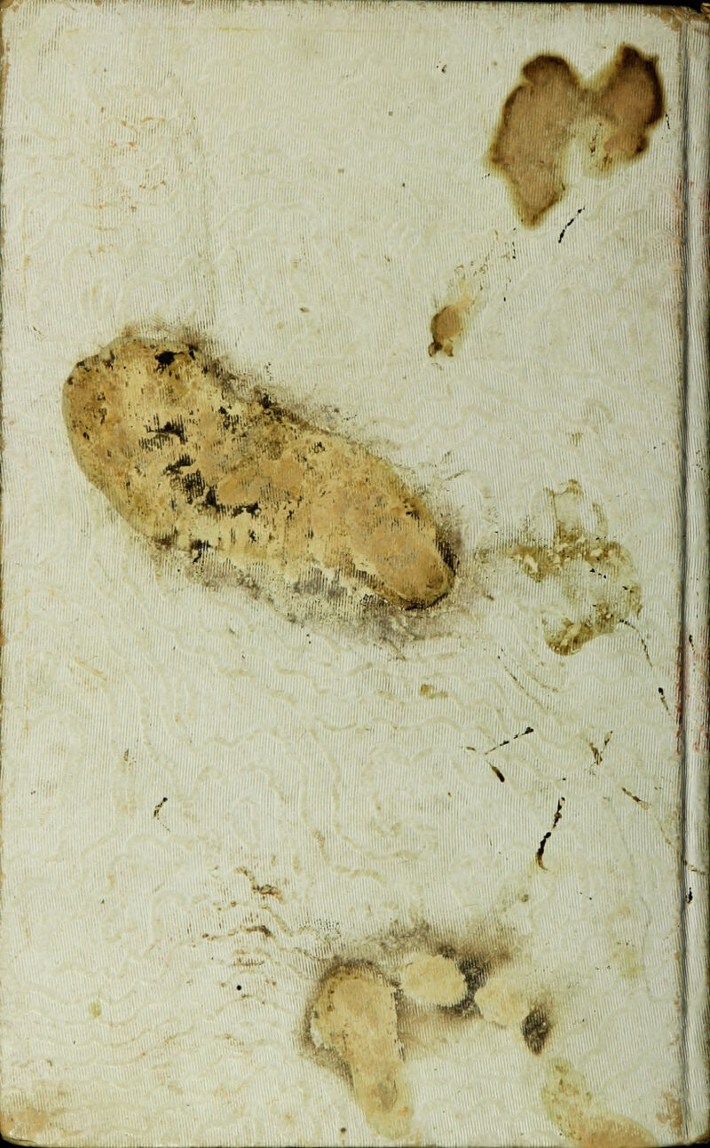 t I * \ ■II w w! ■ ; :,i y / t ä . < ■