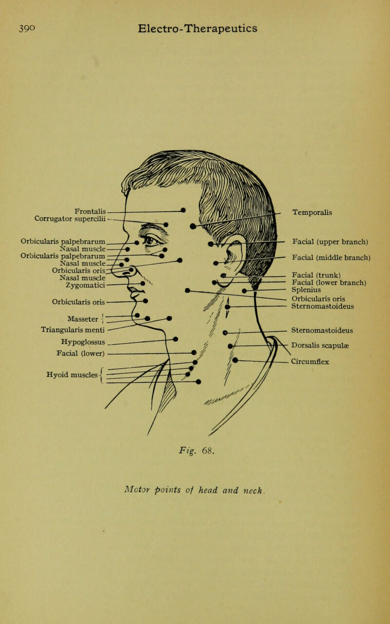 Frontalis Corrugator supercilii Orbicularis palpebrarum Nasal muscle Orbicularis palpebrarum Nasal muscle Orbicularis oris; Nasal muscle Zygomatic! Orbicularis oris Masseter Triangularis menti Hypoglossus Facial (lower) Hyoid muscles Temporalis Facial (upper branch) Facial (middle branch) Facial (trunk) Facial (lower branch) Splenius Orbicularis oris Sternomastoideus Sternomastoideus Dorsalis scapulae Circumflex Fig. 68. Motor points of head and neck.