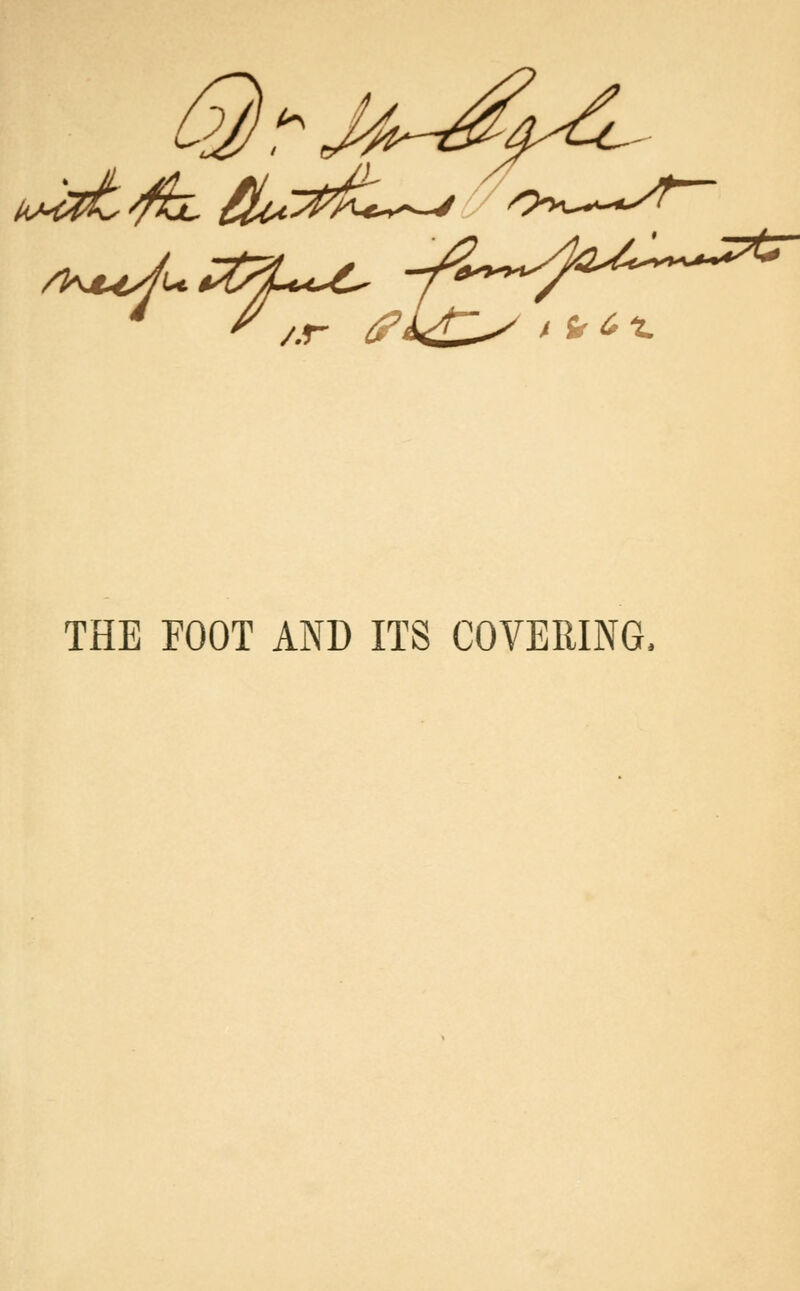 THE FOOT AND ITS COVERING.