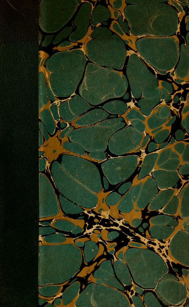 digitised image 1