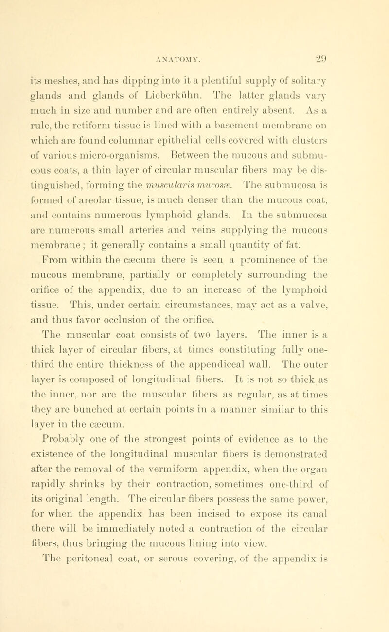 its meshes, and has dipping into it a plentiful supply of solitary glands and glands of Lieberkiihn. The latter glands vary much in size and number and are often entirely absent. As a rule, the retiform tissue is lined with a basement membrane on which are found columnar epithelial cells covered with clusters of various micro-organisms. Between the mucous and submu- cous coats, a thin layer of circular muscular fibers may be dis- tinguished, forming the muscularis mucosse. The submucosa is formed of areolar tissue, is much denser than the mucous coat, and contains numerous lymphoid glands. In the submucosa are numerous small arteries and veins supplying the mucous membrane ; it generally contains a small quantity of fat. From within the caecum there is seen a prominence of the mucous membrane, partially or completely surrounding the orifice of the appendix, clue to an increase of the lymphoid tissue. This, under certain circumstances, may act as a valve, and thus favor occlusion of the orifice. The muscular coat consists of two layers. The inner is a thick layer of circular fibers, at times constituting fully one- third the entire thickness of the appendiceal wall. The outer layer is composed of longitudinal fibers. It is not so thick as the inner, nor are the muscular fibers as regular, as at times they are bunched at certain points in a manner similar to this layer in the caecum. Probably one of the strongest points of evidence as to the existence of the longitudinal muscular fibers is demonstrated after the removal of the vermiform appendix, when the organ rapidly shrinks by their contraction, sometimes one-third of its original length. The circular fibers possess the same power, for when the appendix has been incised to expose its canal there will be immediately noted a contraction of the circular fibers, thus bringing the mucous lining into view. The peritoneal coat, or serous covering, of the appendix is