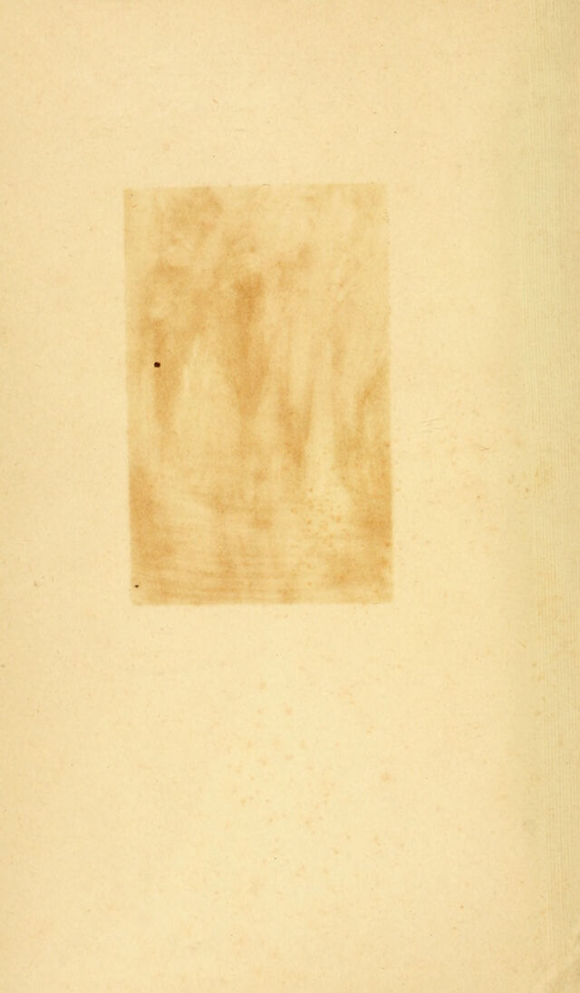 digitised image 2