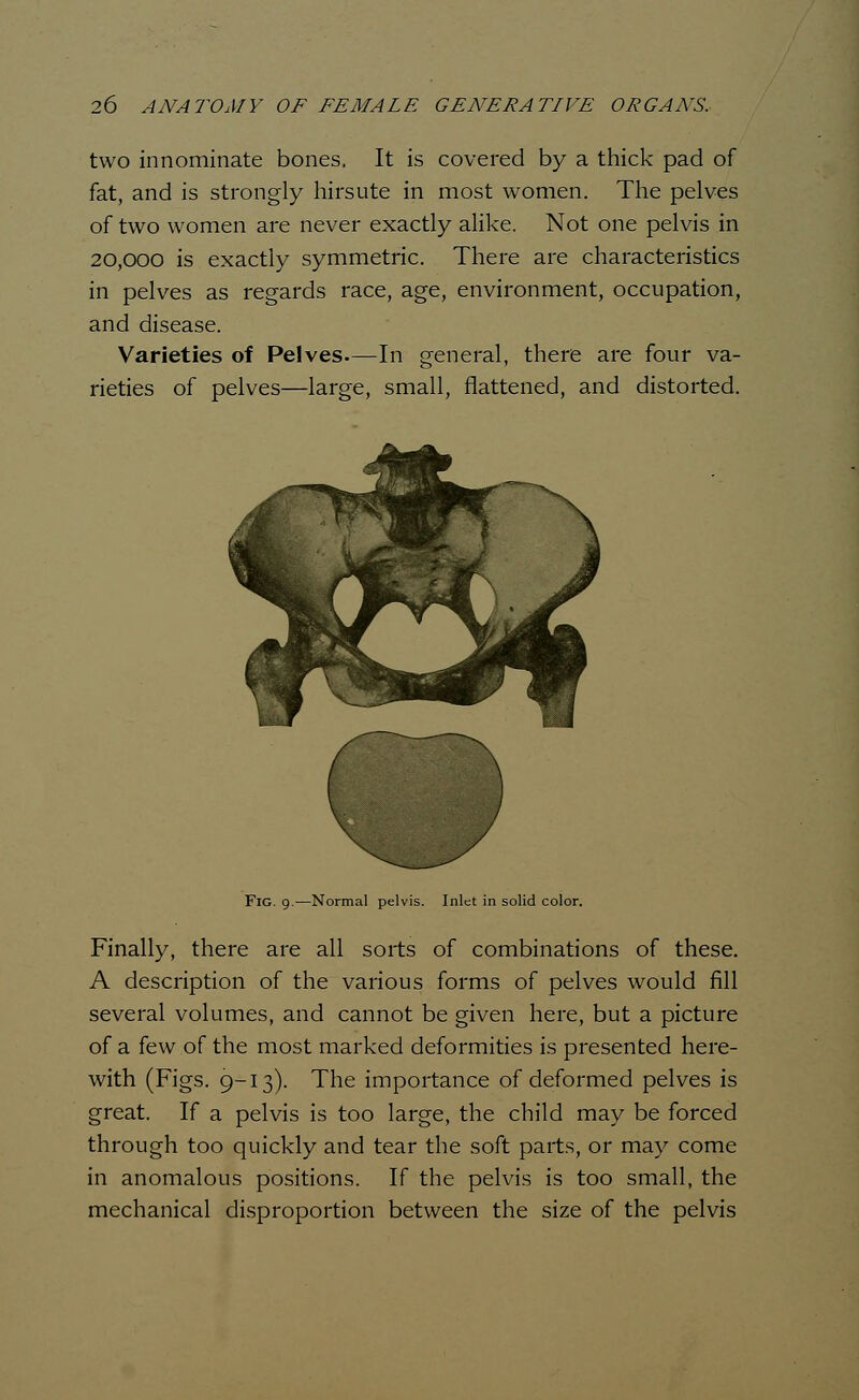 two innominate bones, It is covered by a thick pad of fat, and is strongly hirsute in most women. The pelves of two women are never exactly alike. Not one pelvis in 20,000 is exactly symmetric. There are characteristics in pelves as regards race, age, environment, occupation, and disease. Varieties of Pelves—In general, there are four va- rieties of pelves—large, small, flattened, and distorted. Fig. 9.—Normal pelvis. Inlet in solid color. Finally, there are all sorts of combinations of these. A description of the various forms of pelves would fill several volumes, and cannot be given here, but a picture of a few of the most marked deformities is presented here- with (Figs. 9-13). The importance of deformed pelves is great. If a pelvis is too large, the child may be forced through too quickly and tear the soft parts, or may come in anomalous positions. If the pelvis is too small, the mechanical disproportion between the size of the pelvis