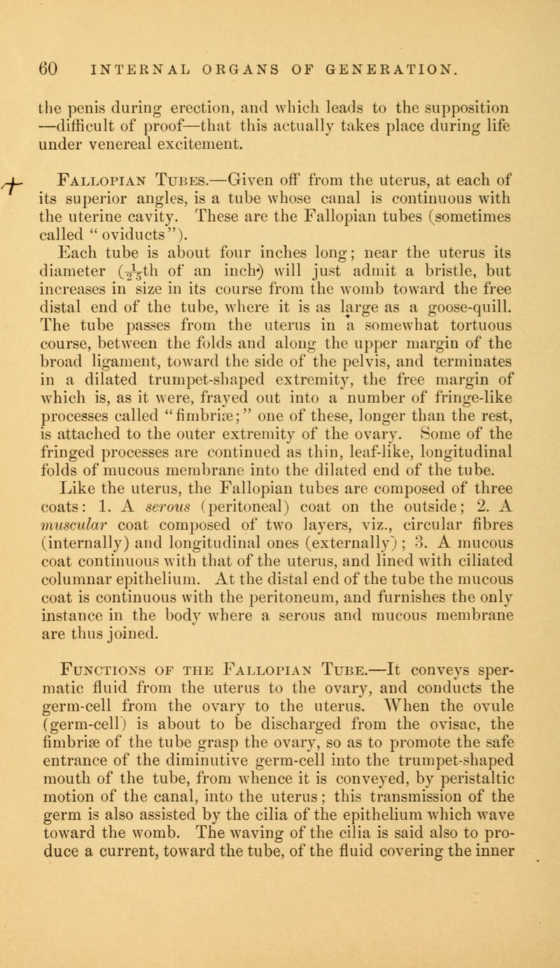 the penis during erection, and which leads to the supposition —difficult of proof—that this actually takes place during life under venereal excitement. Fallopian Tubes.—Given off from the uterus, at each of its superior angles, is a tube whose canal is continuous with the uterine cavity. These are the Fallopian tubes (sometimes called  oviducts). Each tube is about four inches long; near the uterus its diameter (g^th of an inch*) will just admit a bristle, but increases in size in its course from the womb toward the free distal end of the tube, where it is as large as a goose-quill. The tube passes from the uterus in a somewhat tortuous course, between the folds and along the upper margin of the broad ligament, toward the side of the pelvis, and terminates in a dilated trumpet-shaped extremity, the free margin of which is, as it were, frayed out into a number of fringe-like processes called fimbria?; one of these, longer than the rest, is attached to the outer extremity of the ovary. Some of the fringed processes are continued as thin, leaf-like, longitudinal folds of mucous membrane into the dilated end of the tube. Like the uterus, the Fallopian tubes are composed of three coats: 1. A serous (peritoneal) coat on the outside; 2. A muscular coat composed of two layers, viz., circular fibres (internally) and longitudinal ones (externally) ; 3. A mucous coat continuous with that of the uterus, and lined with ciliated columnar epithelium. At the distal end of the tube the mucous coat is continuous with the peritoneum, and furnishes the only instance in the body where a serous and mucous membrane are thus joined. Functions of the Fallopian Tube.—It conveys sper- matic fluid from the uterus to the ovary, and conducts the germ-cell from the ovary to the uterus. When the ovule (germ-cell) is about to be discharged from the ovisac, the fimbriae of the tube grasp the ovary, so as to promote the safe entrance of the diminutive germ-cell into the trumpet-shaped mouth of the tube, from whence it is conveyed, by peristaltic motion of the canal, into the uterus; this transmission of the germ is also assisted by the cilia of the epithelium which wave toward the womb. The waving of the cilia is said also to pro- duce a current, toward the tube, of the fluid covering the inner